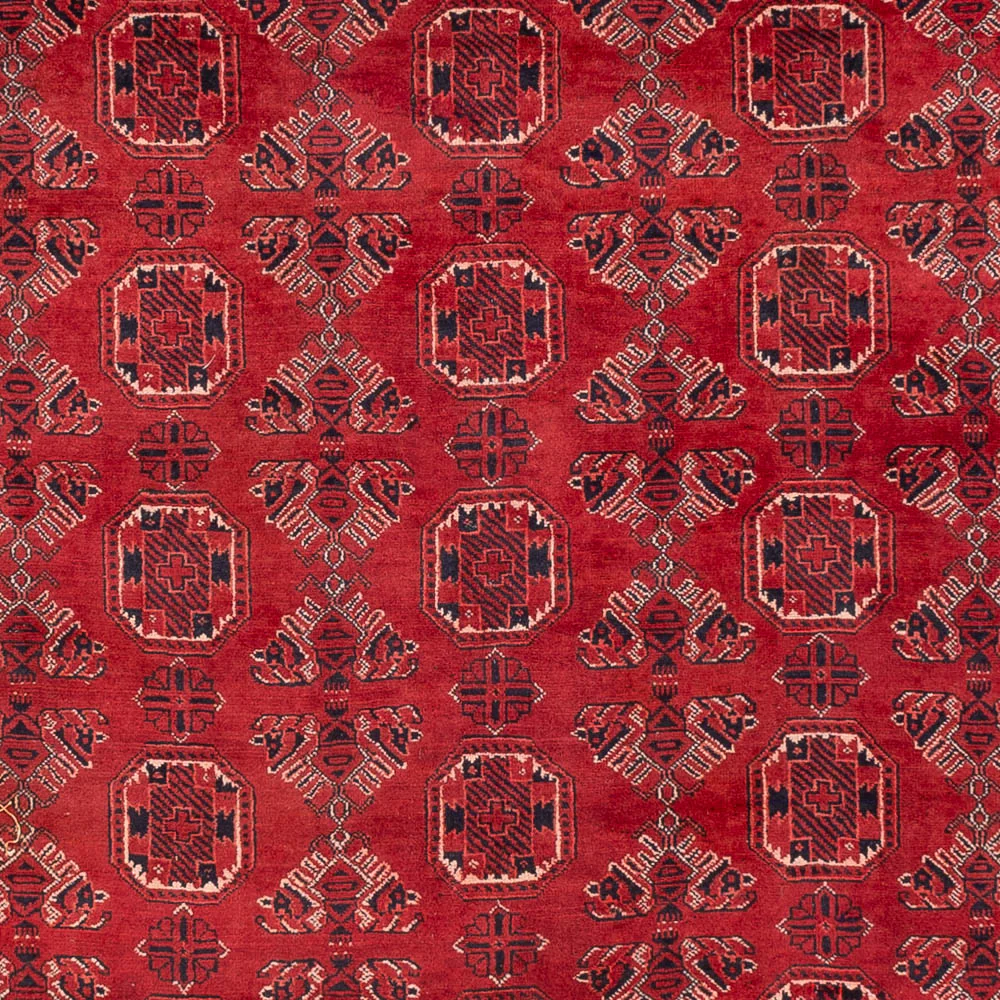 Afghan Teppich 275x203cm - Orientteppich - Image 2