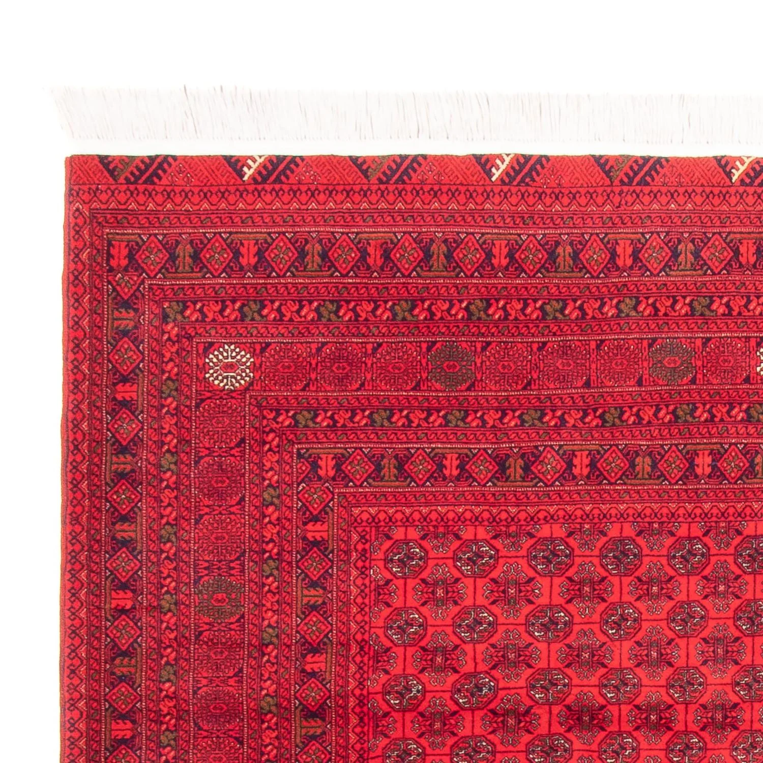 Afghan Teppich - 289 x 200 cm - rot - Image 3