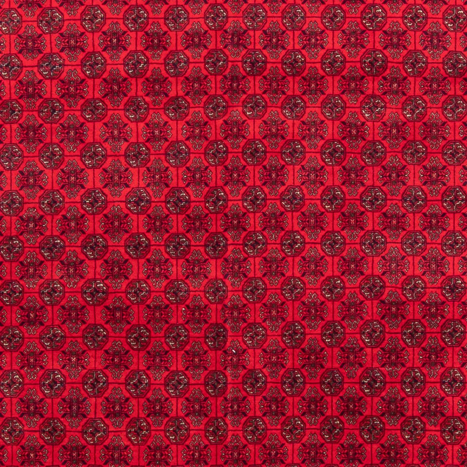 Afghan Teppich - 295 x 194 cm - rot - Image 2