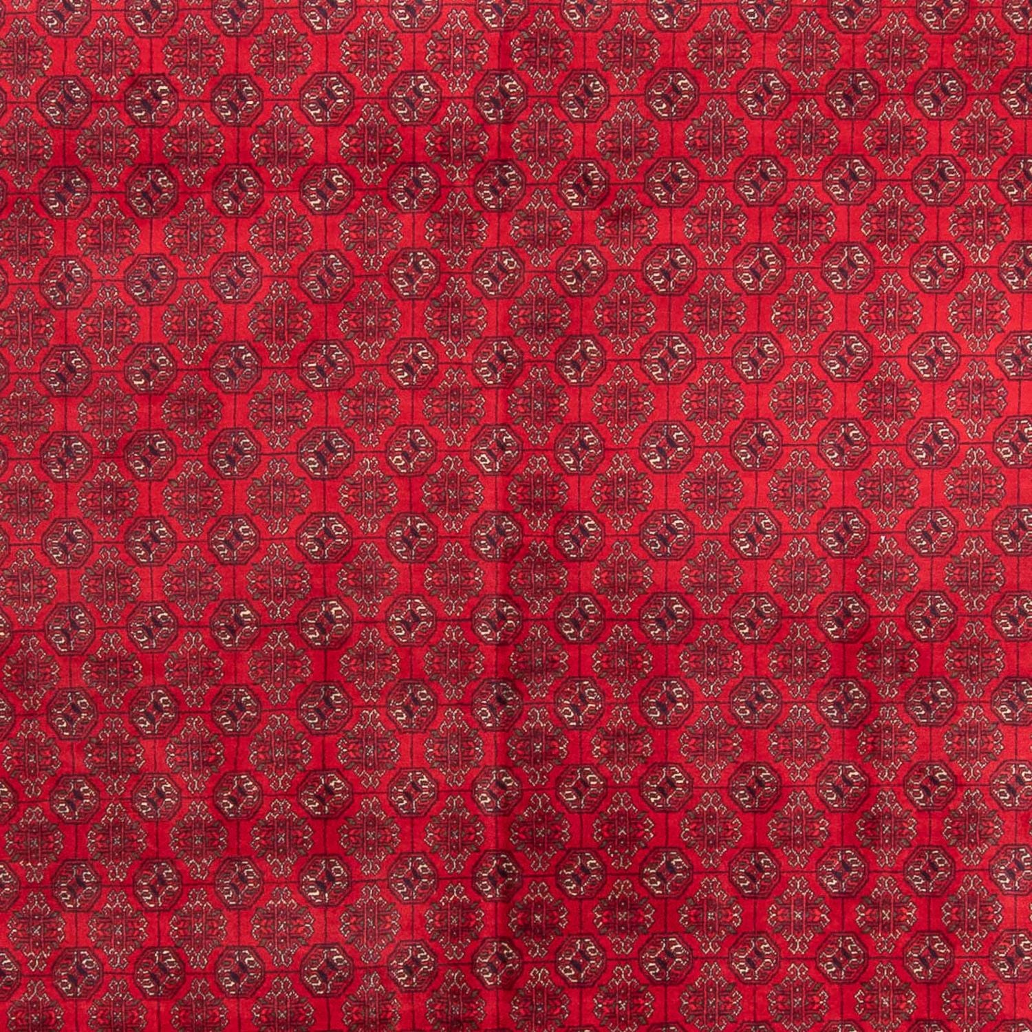 Afghan Teppich - 343 x 248 cm - rot - Image 2