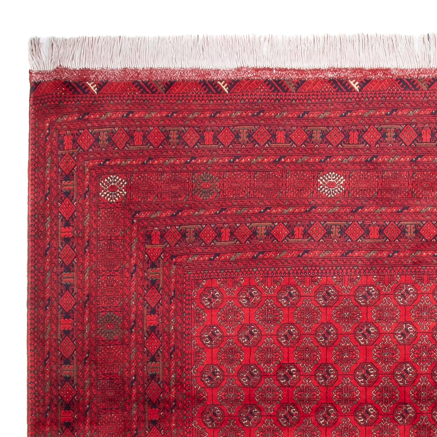 Afghan Teppich - 343 x 248 cm - rot - Image 3