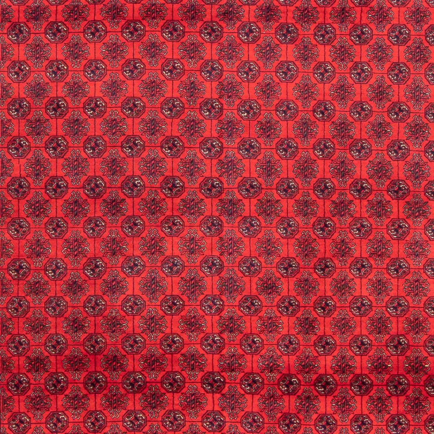 Afghan Teppich - 387 x 298 cm - rot - Image 2