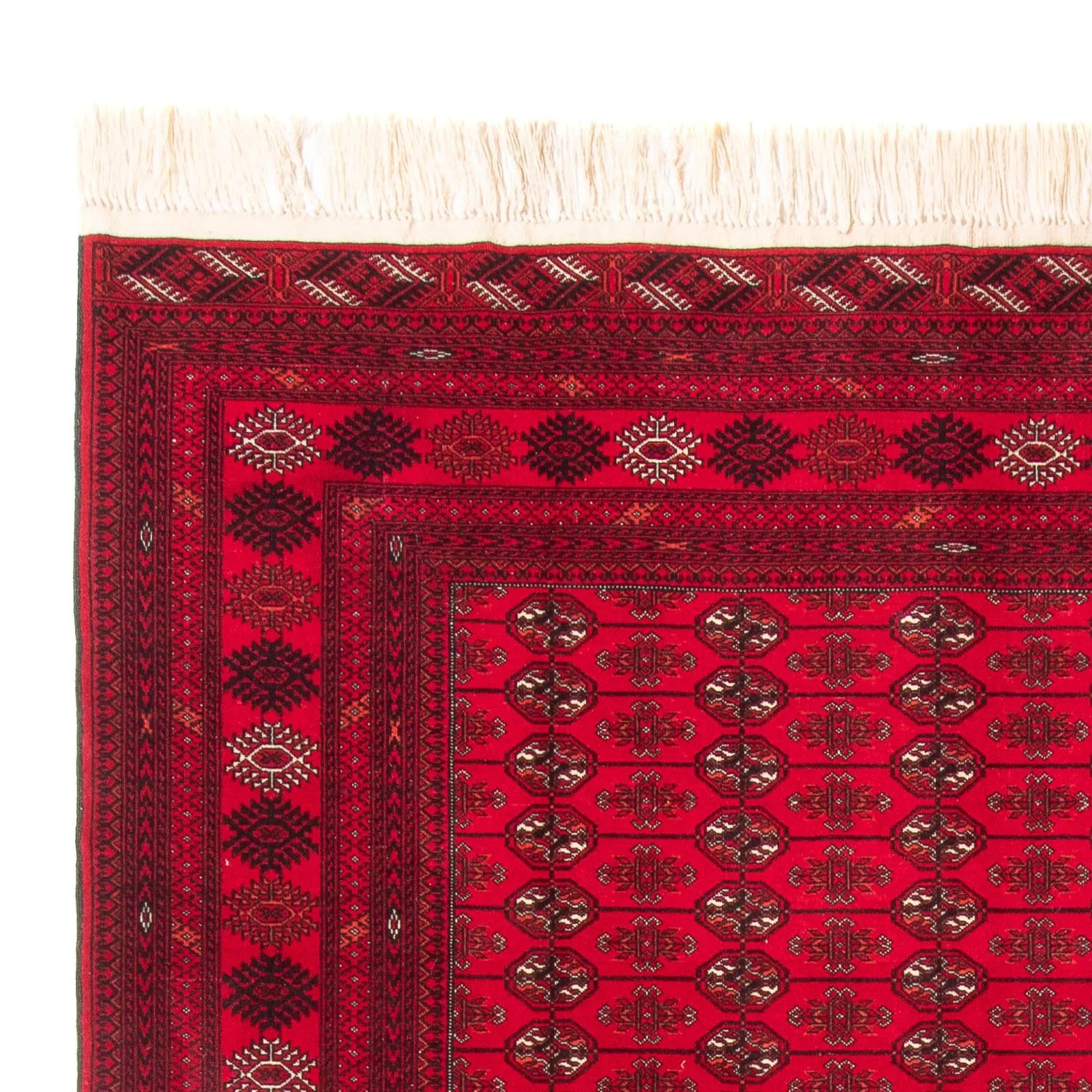 Afghan Teppich - Buchara - 282 x 200 cm - rot - Image 3