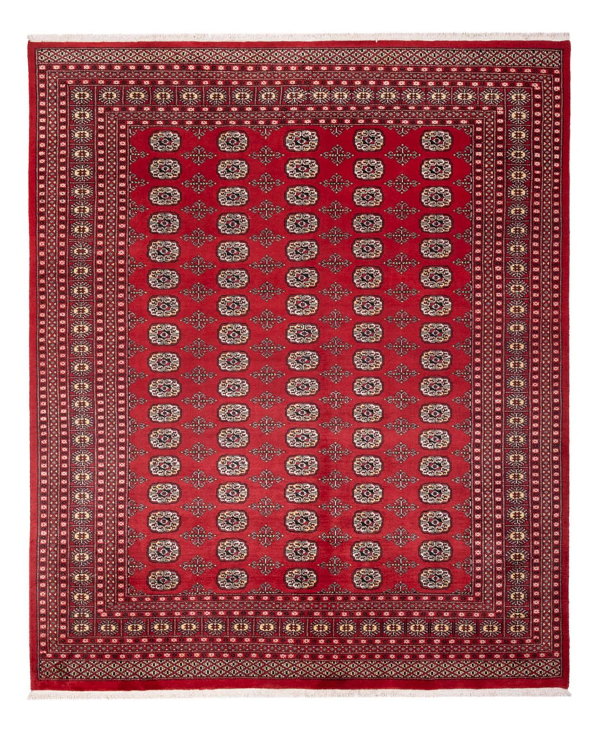 Buchara Teppich 298x243cm - Orientteppich