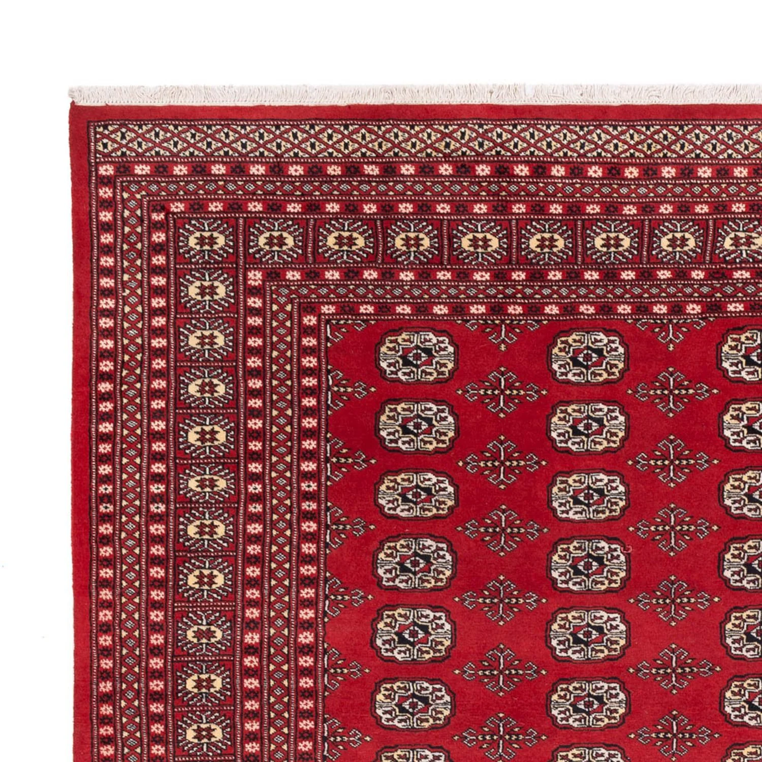Buchara Teppich 298x243cm - Orientteppich - Image 3