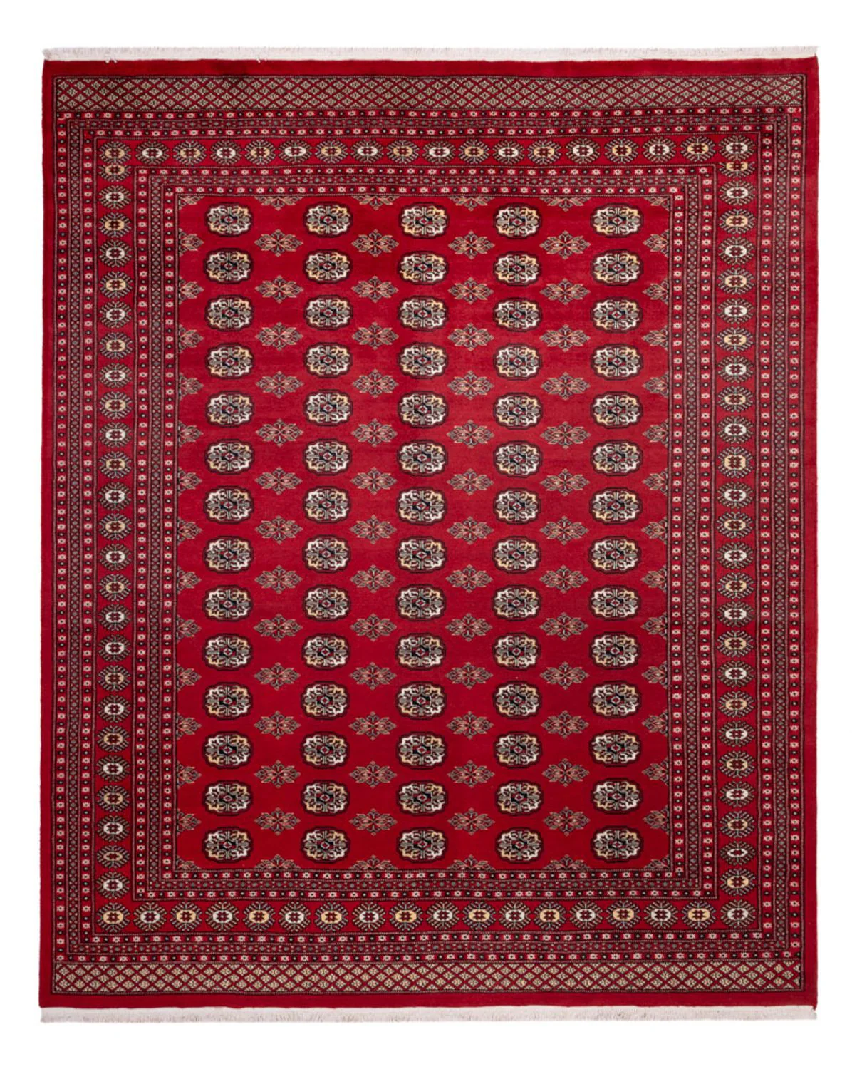 Buchara Teppich 301x245cm - Orientteppich