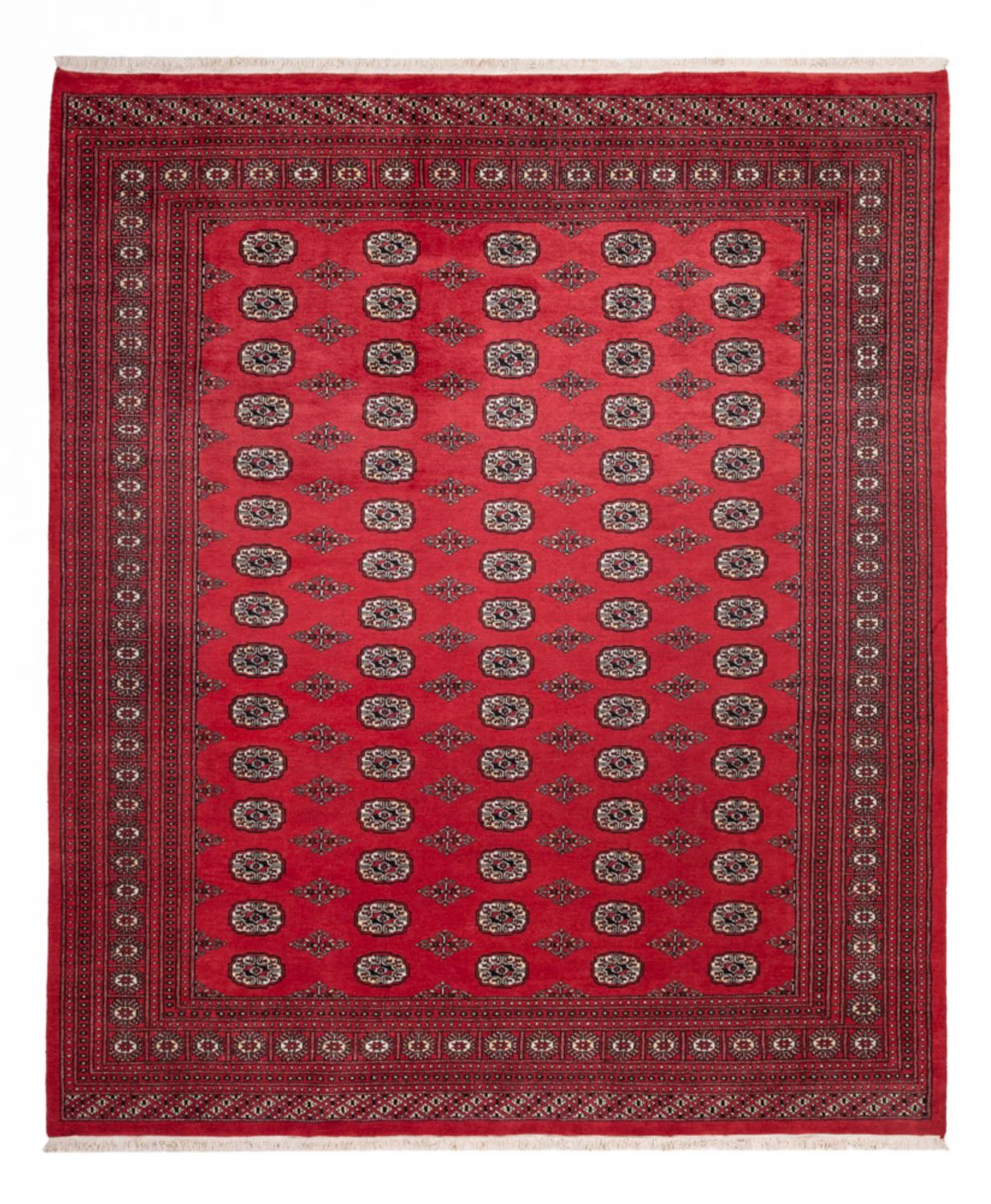 Buchara Teppich 305x246cm - Orientteppich