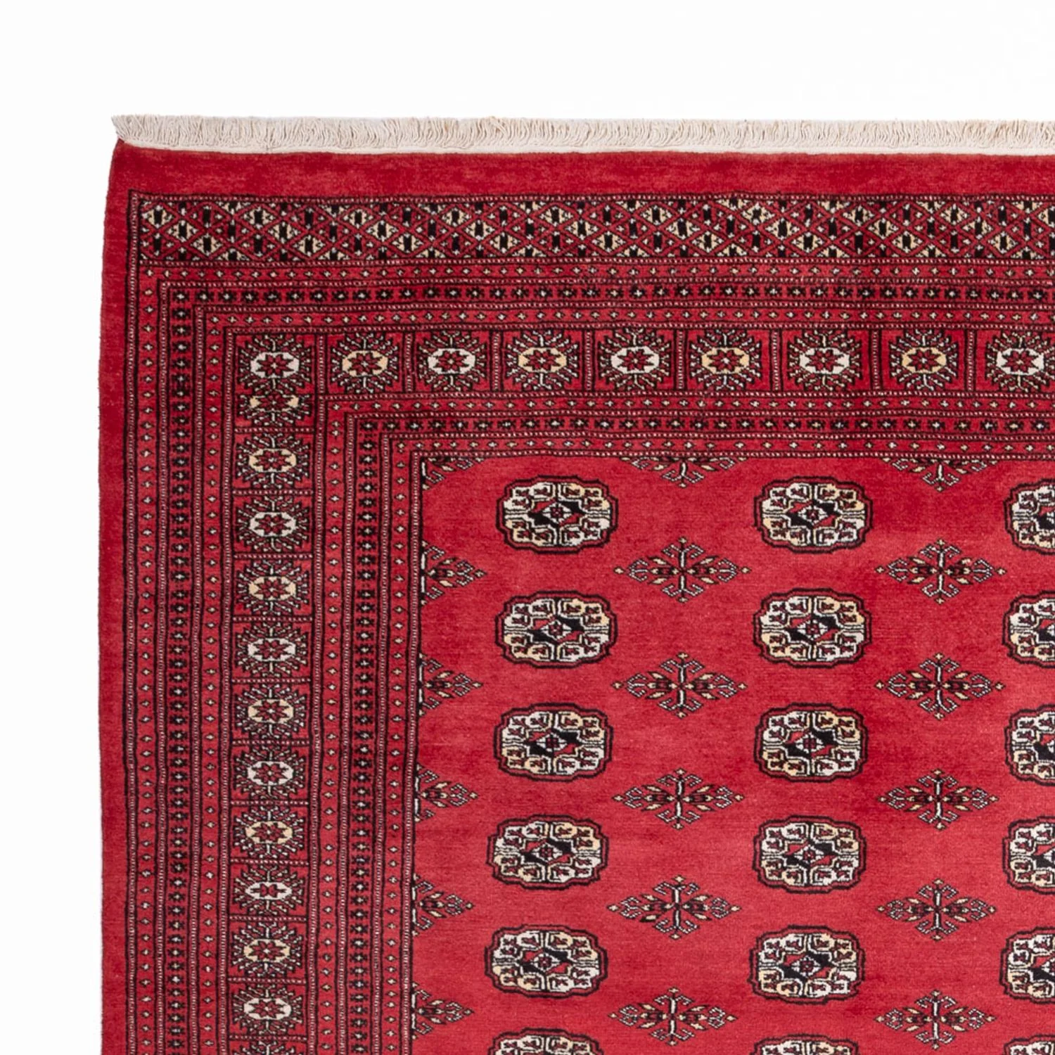 Buchara Teppich 305x246cm - Orientteppich - Image 3
