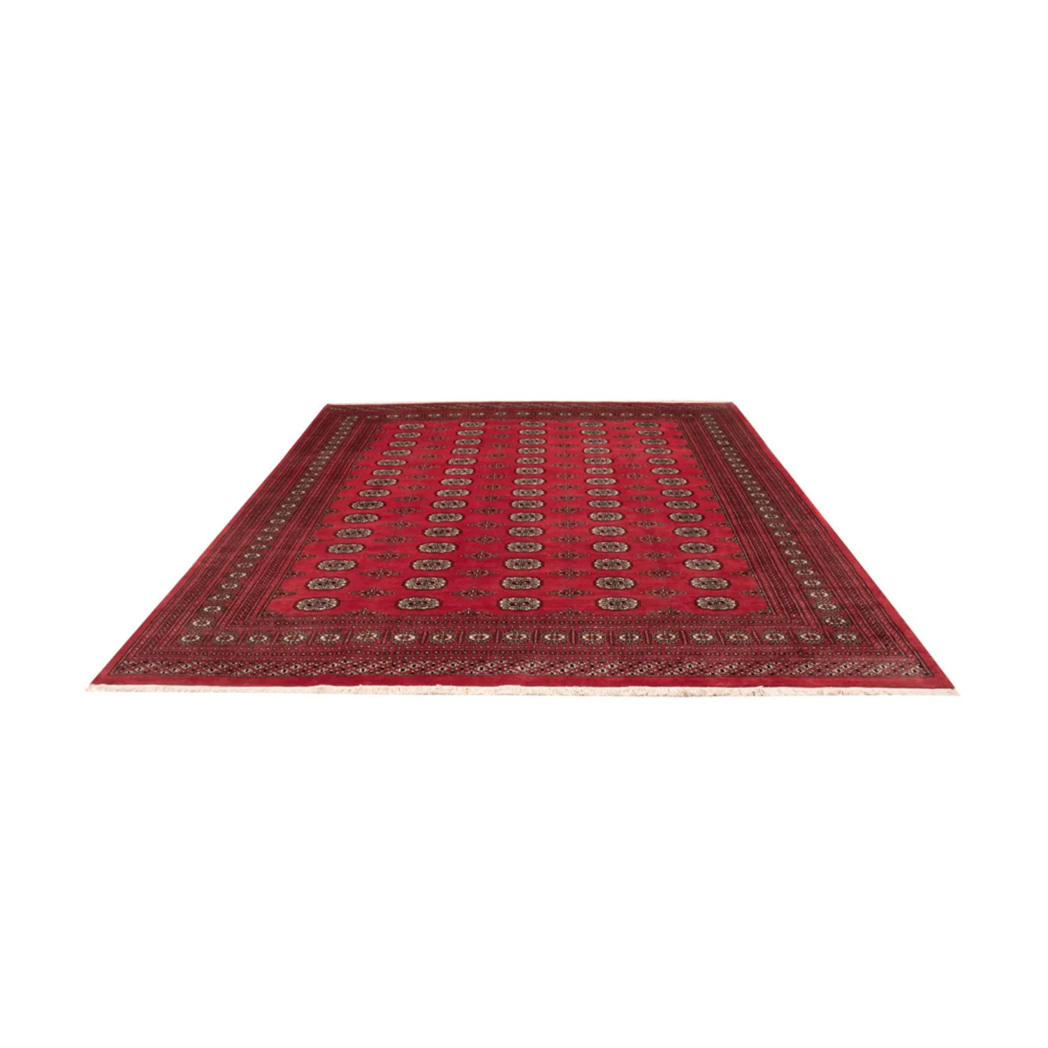 Buchara Teppich 305x246cm - Orientteppich - Image 5