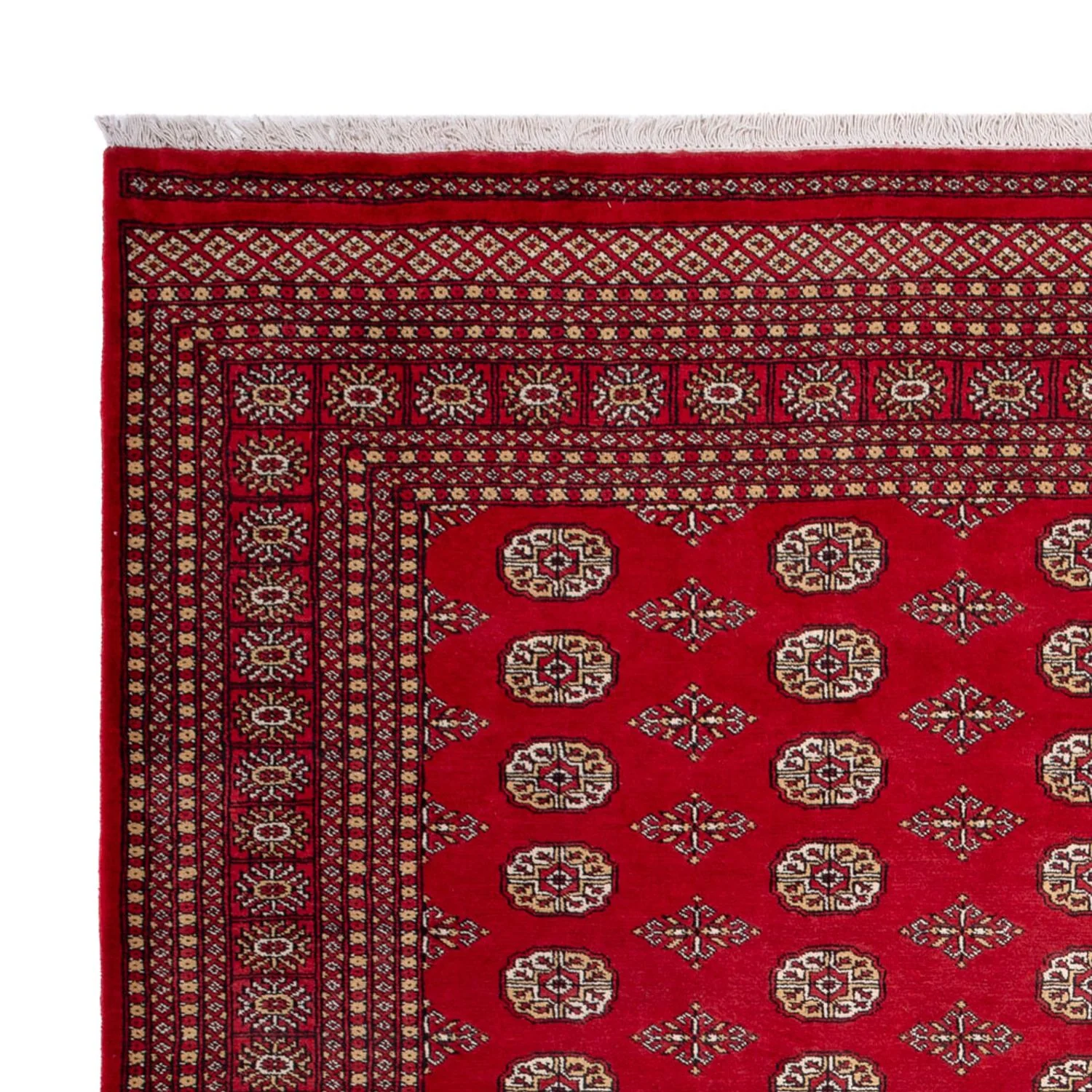Buchara Teppich 305x252cm - Orientteppich - Image 3