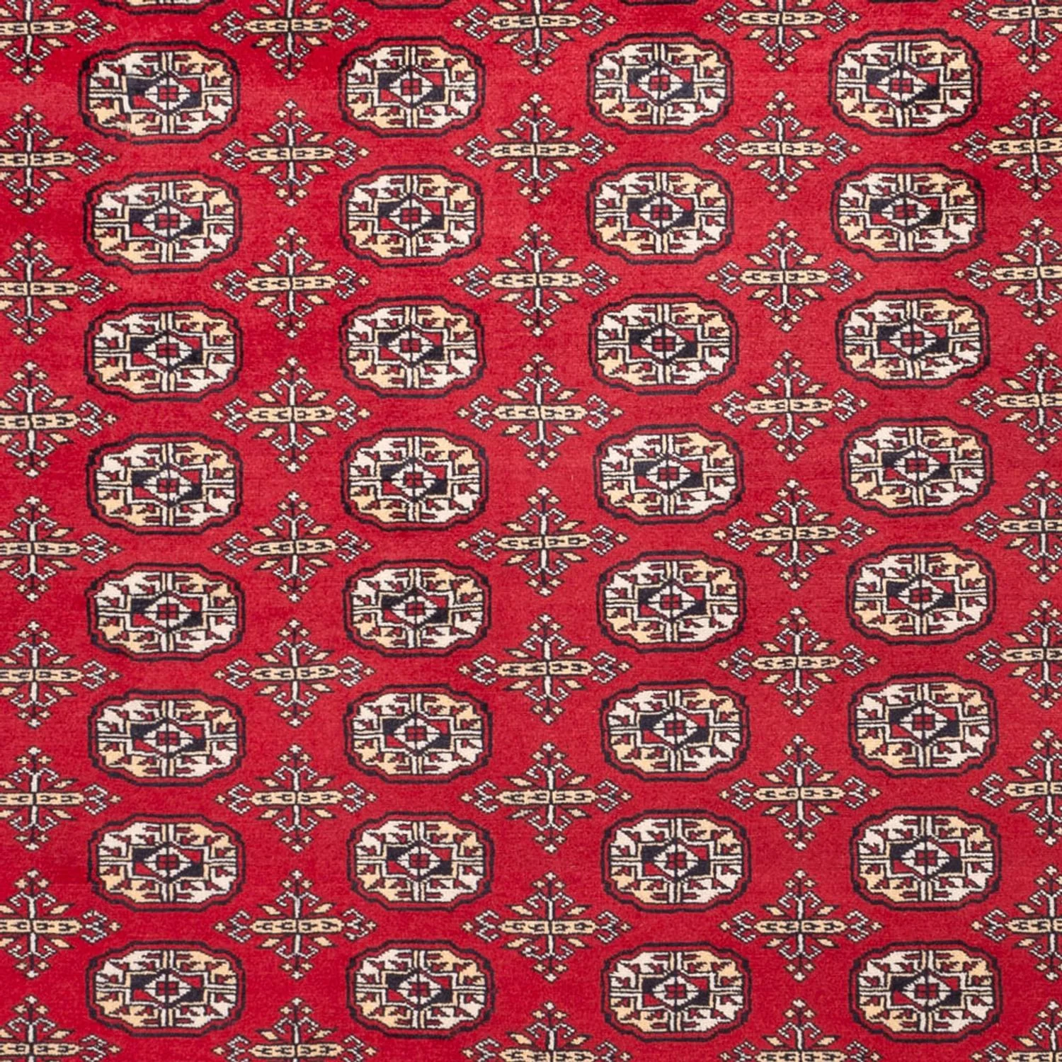 Buchara Teppich 311x243cm - Orientteppich - Image 2
