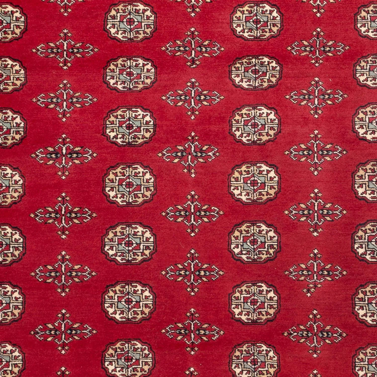 Afghan Teppich - Buchara - 318 x 210 cm - rot - Image 2