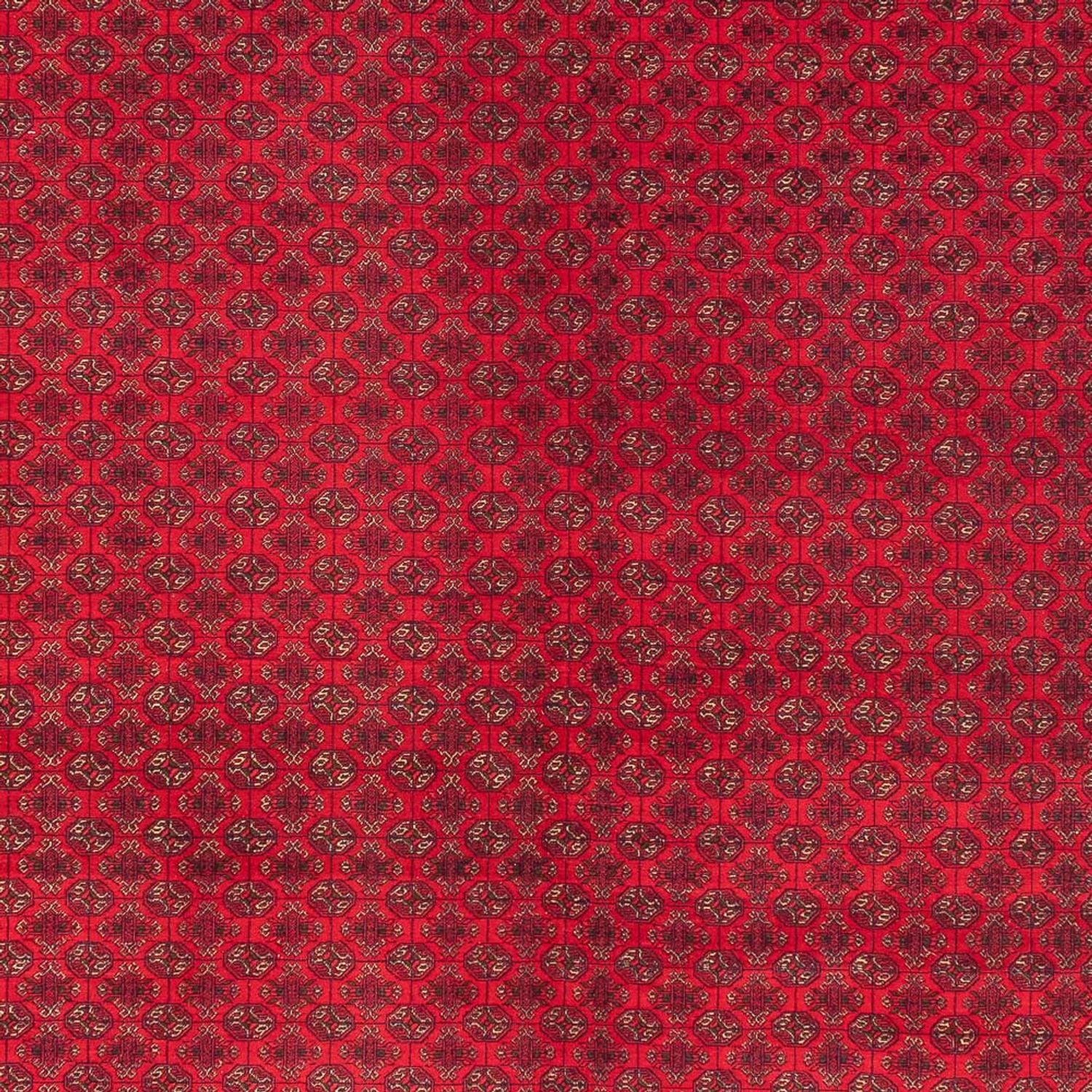 Afghan Teppich 404x294cm - Orientteppich - Image 2