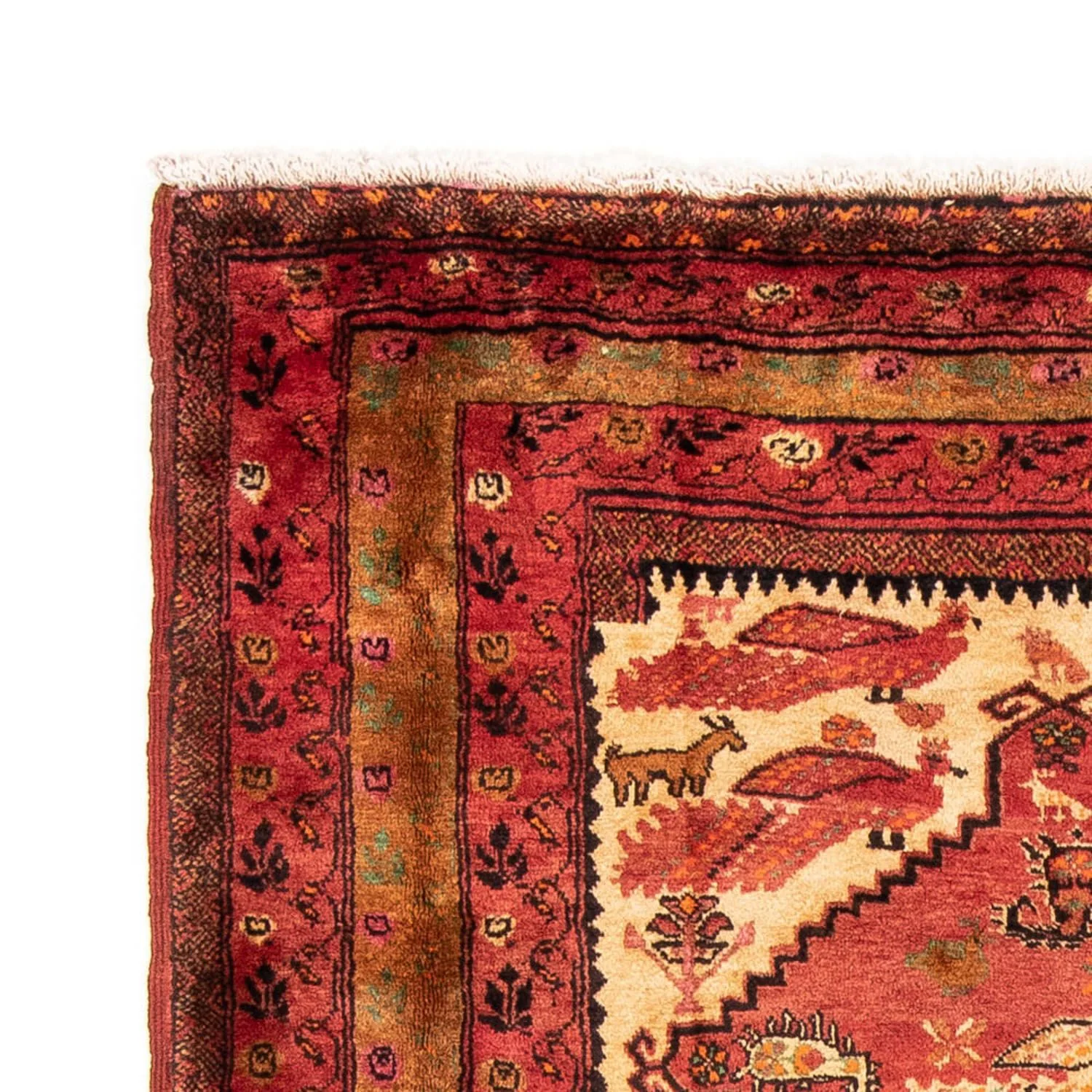 Belutsch Teppich 224 x 134 cm - rot - Image 3