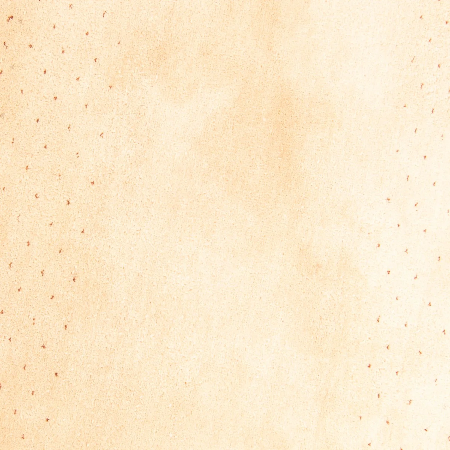 Gabbeh Teppich - Indus 200 x 200 cm - beige - Image 2
