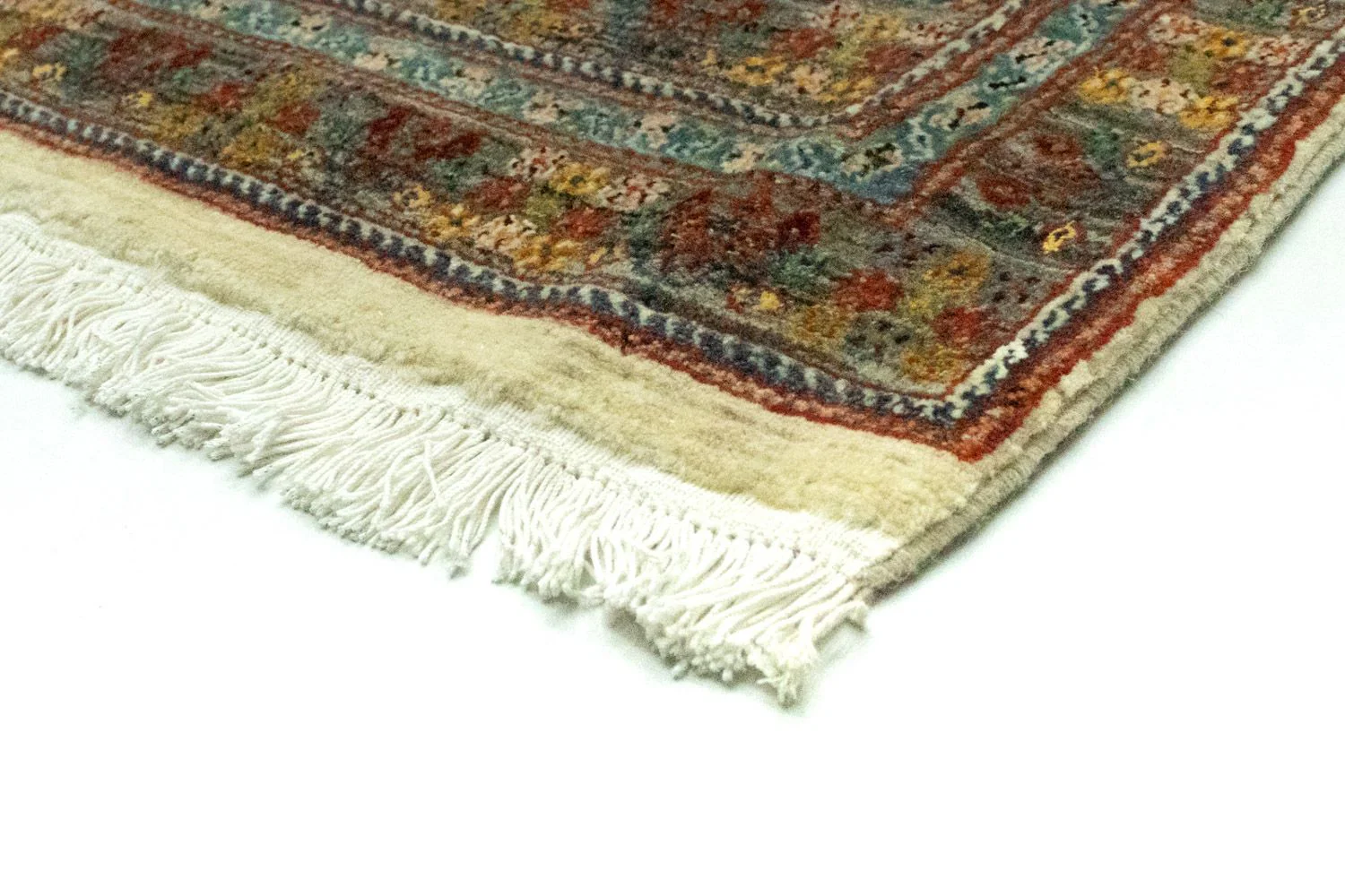 Gabbeh Teppich - Loribaft Perser 260 x 172 cm - bunt - Image 2