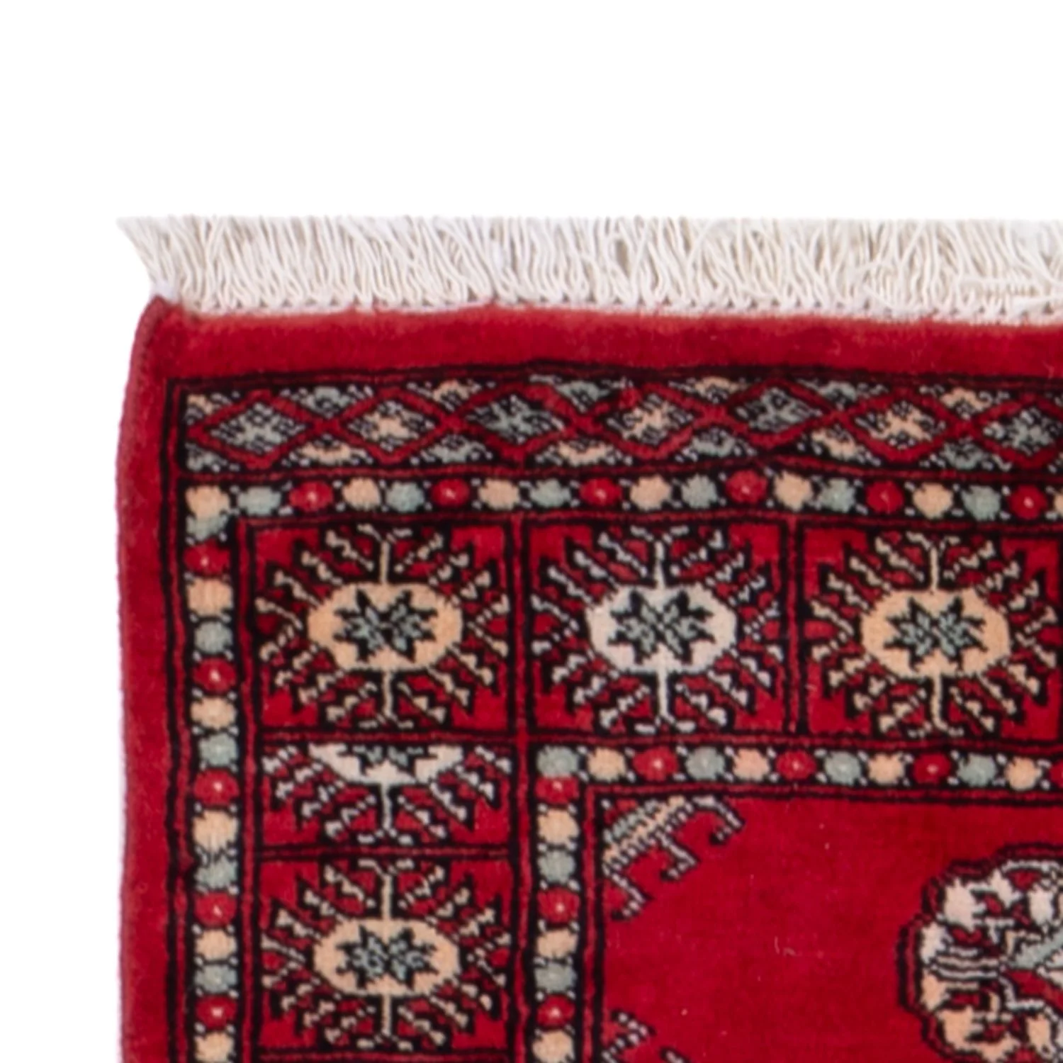 Pakistan Teppich 255x77cm - Orientteppich - Image 3
