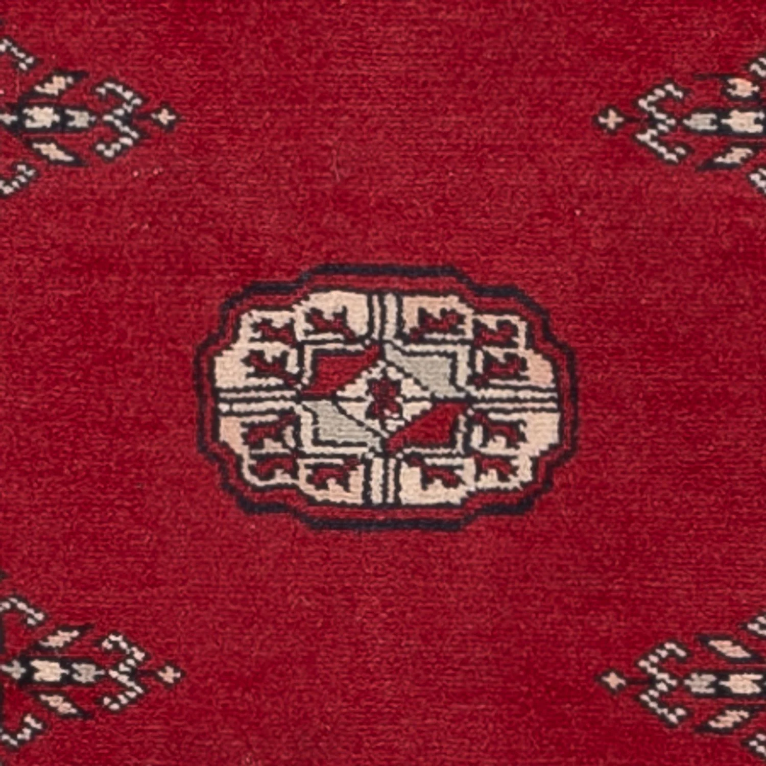 Pakistan Teppich 257x75cm - Orientteppich - Image 2