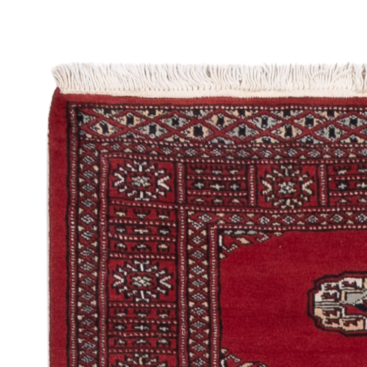 Pakistan Teppich 311x78cm - Orientteppich - Image 3