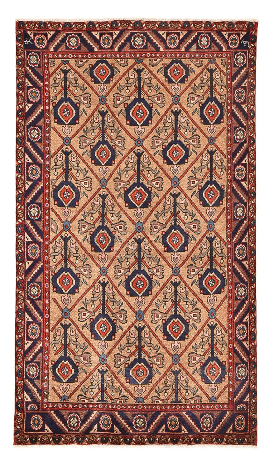 Kolyai Teppich 223x128cm - Perserteppich