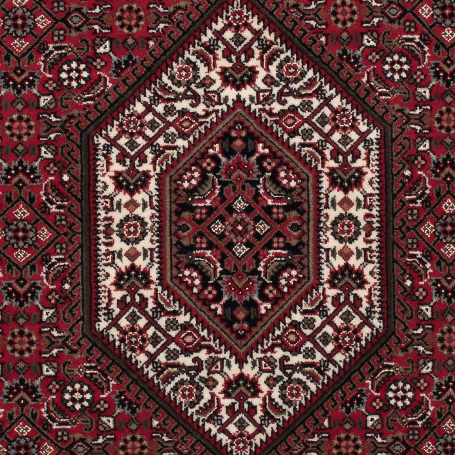 Indo Bidjar Teppich 160x90cm - Orientteppich - Image 2