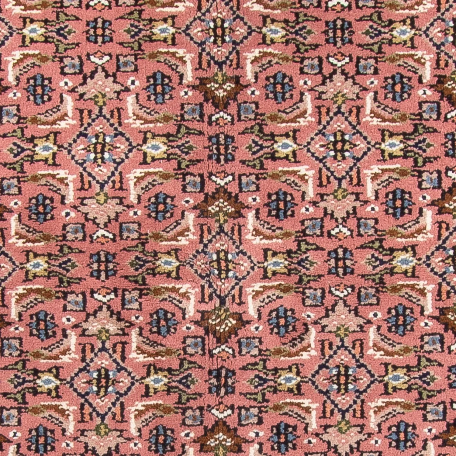 Orientteppich - Bidjar - Indus - 240 x 170 cm - lachs - Image 2