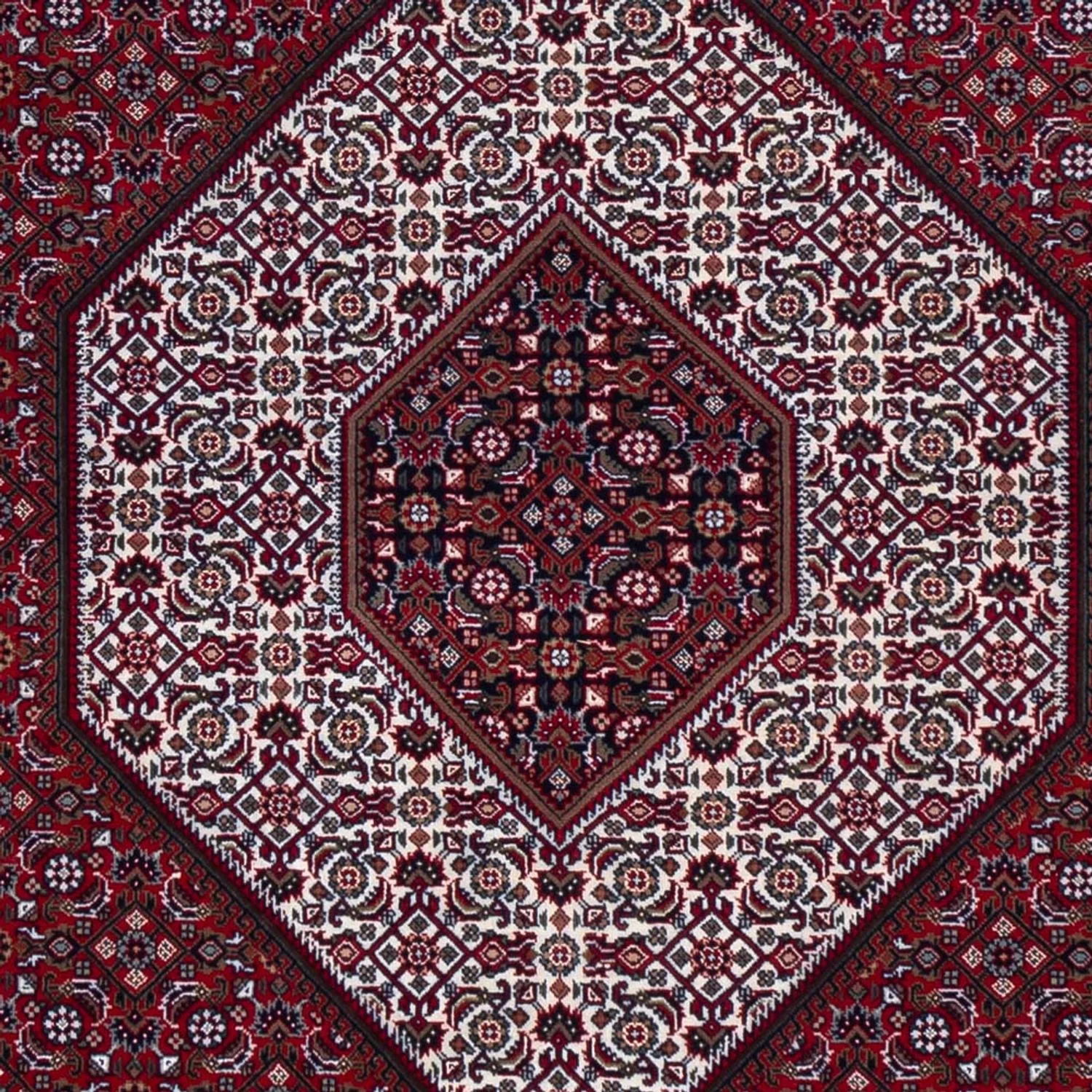Indo Bidjar Teppich 305x251cm - Orientteppich - Image 2