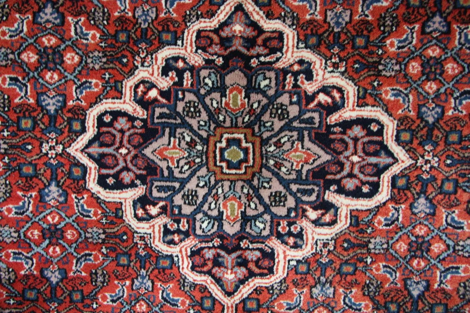 Orientteppich - Bidjar - Indus 313 x 250 cm - rot - Image 2