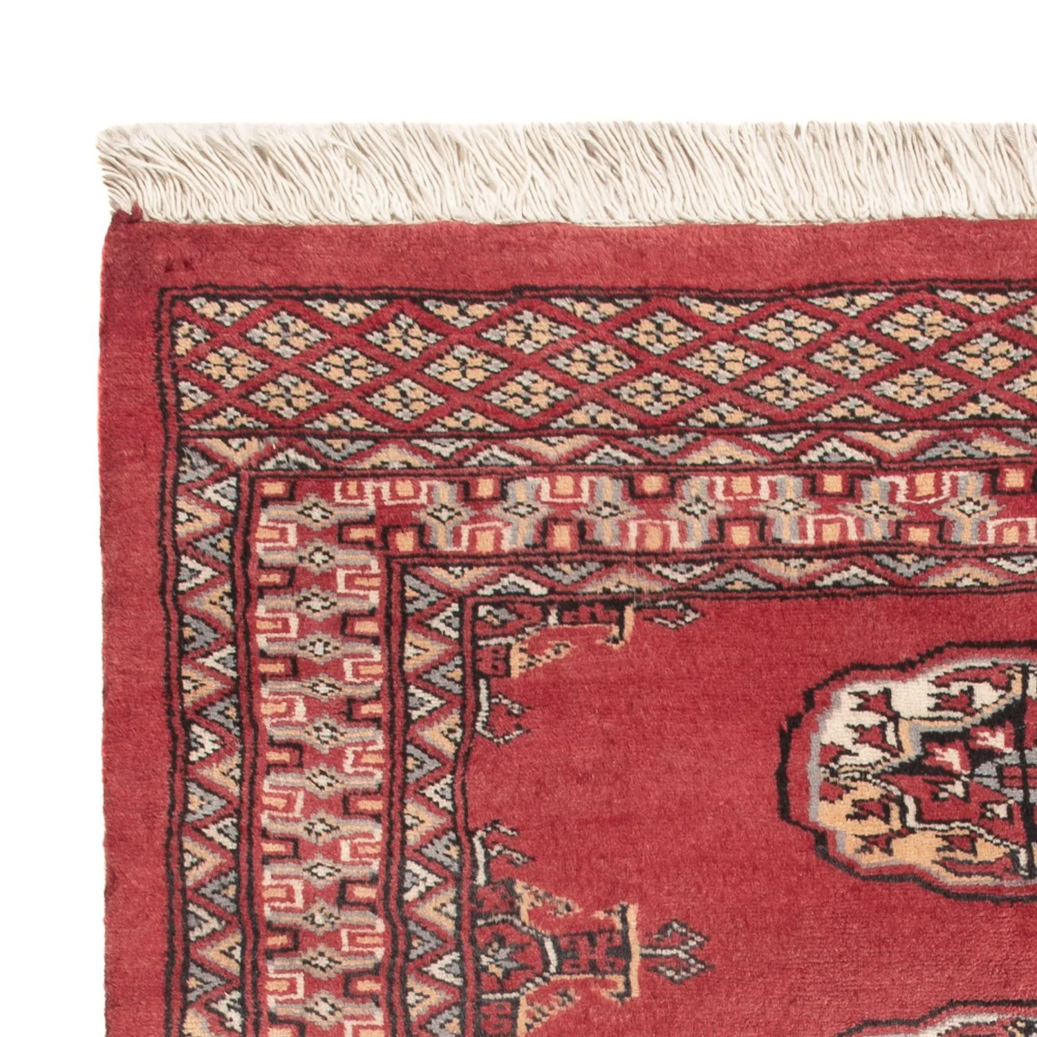Pakistan Teppich 114x79cm - Orientteppich - Image 3