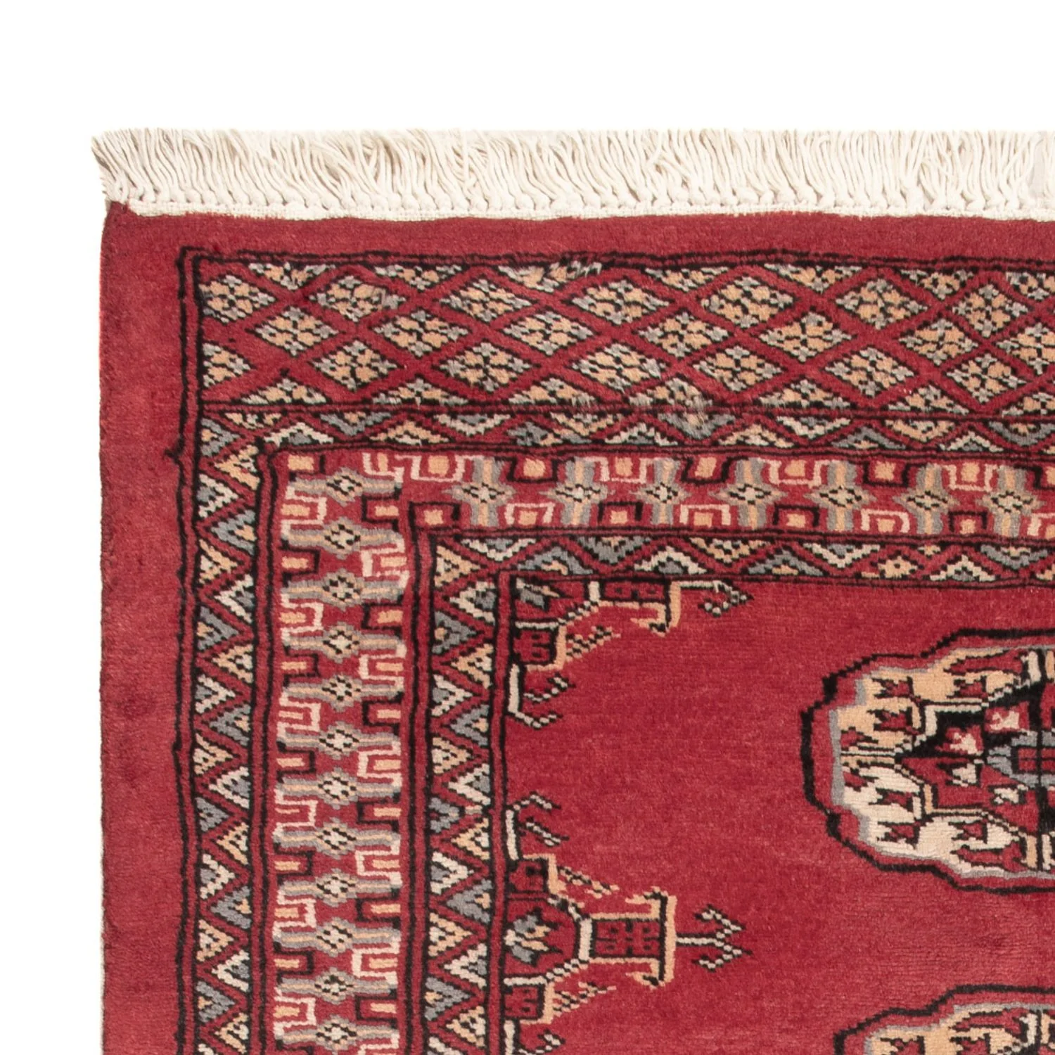 Pakistan Teppich 117x80cm - Orientteppich - Image 3