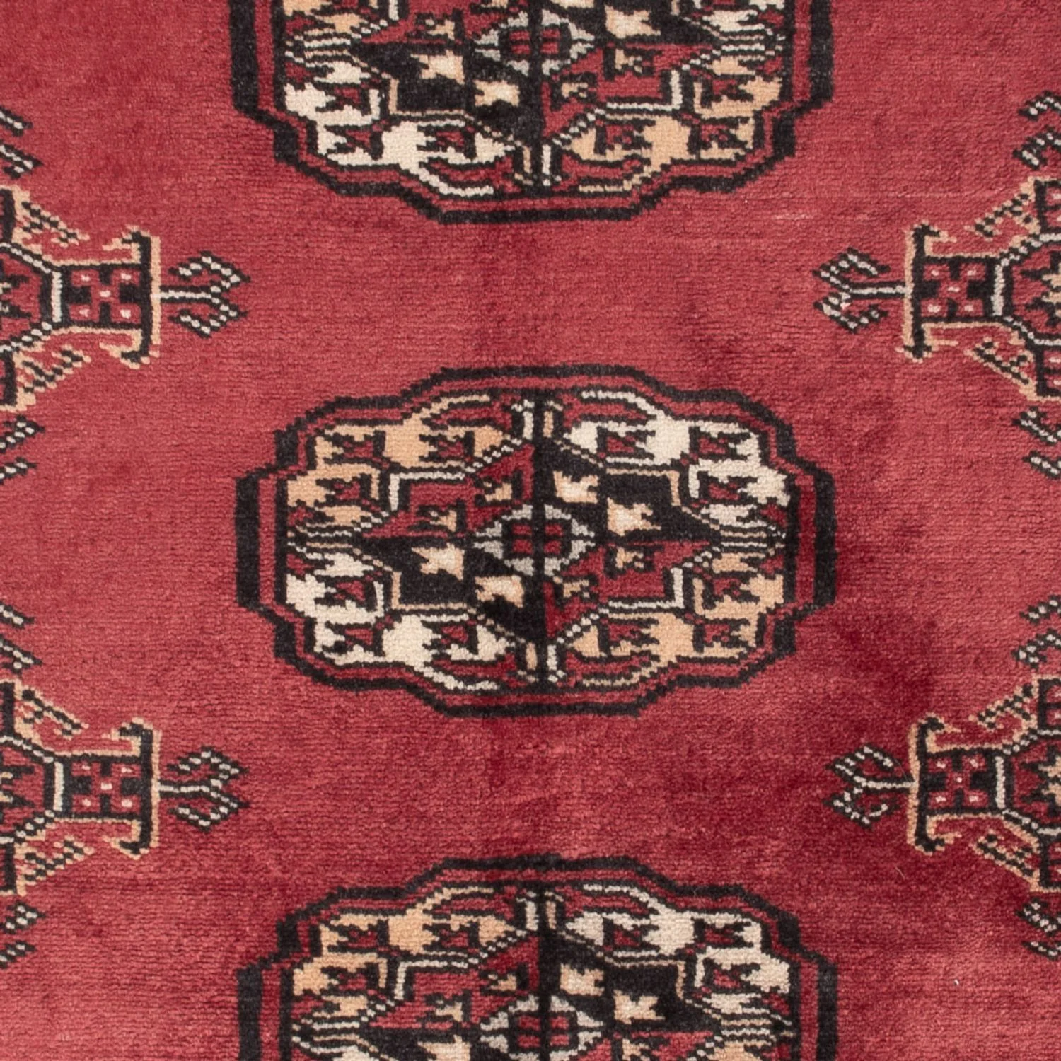 Pakistan Teppich 120x80cm - Orientteppich - Image 2