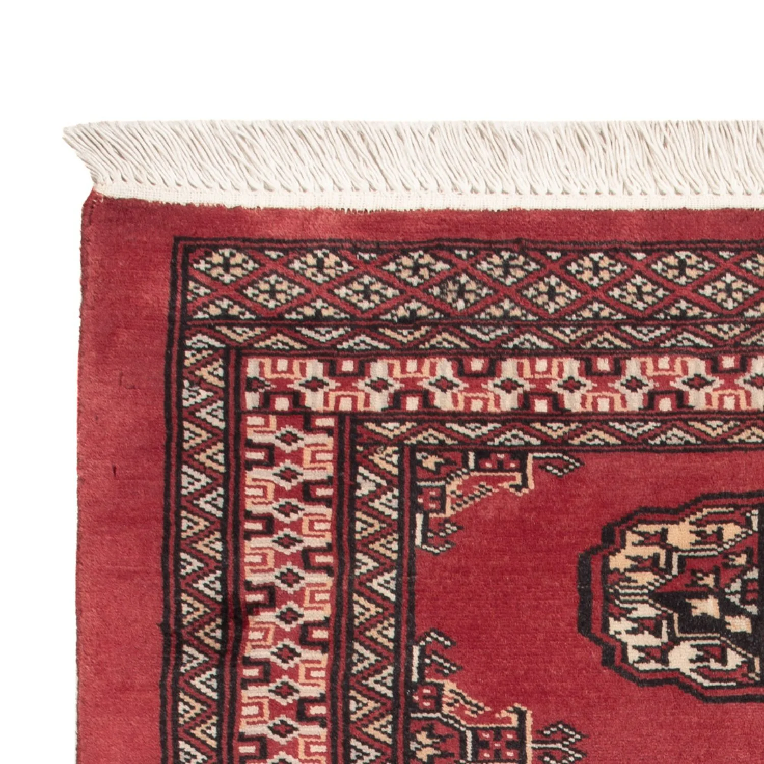Pakistan Teppich 120x80cm - Orientteppich - Image 3