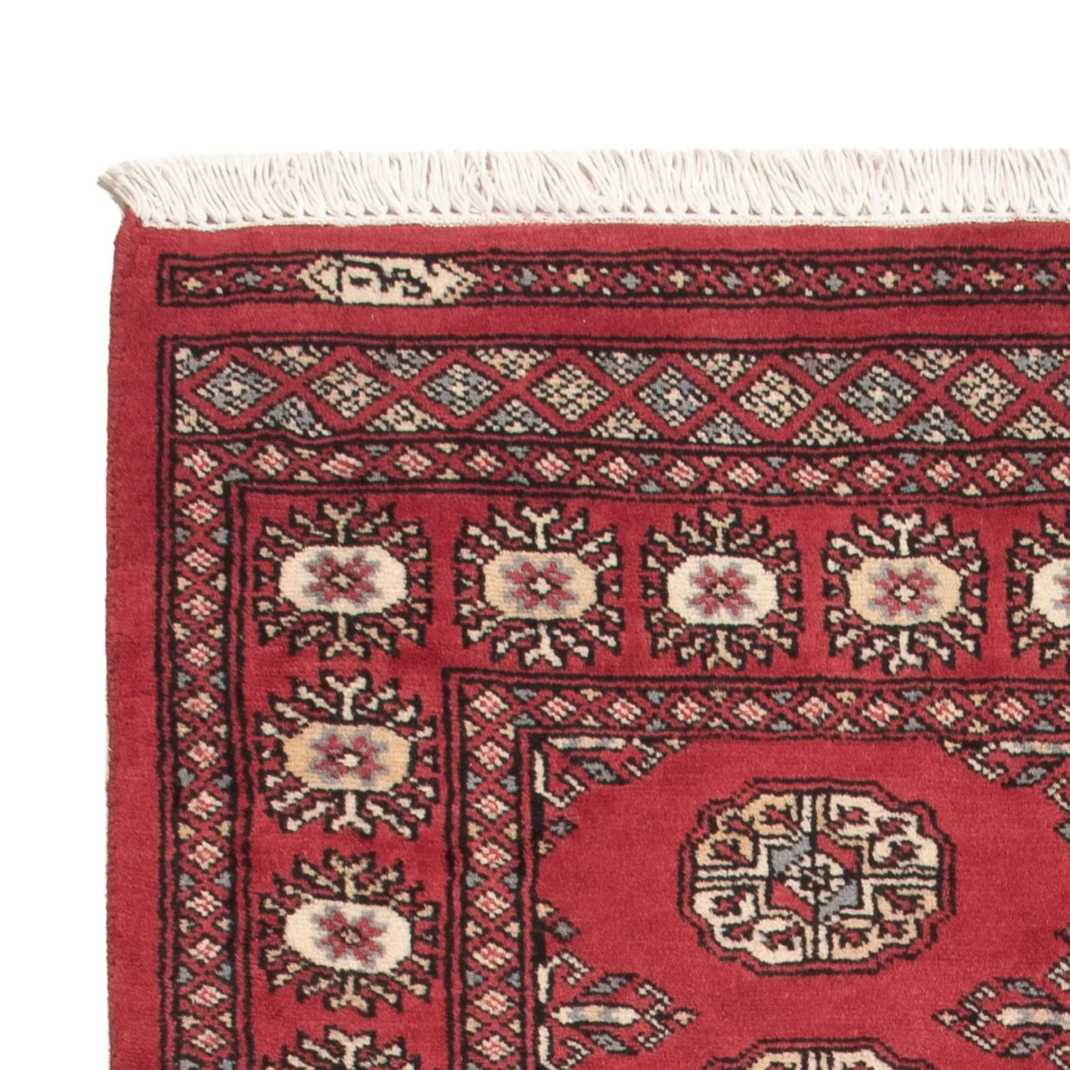 Pakistan Teppich 147x91cm - Orientteppich - Image 3