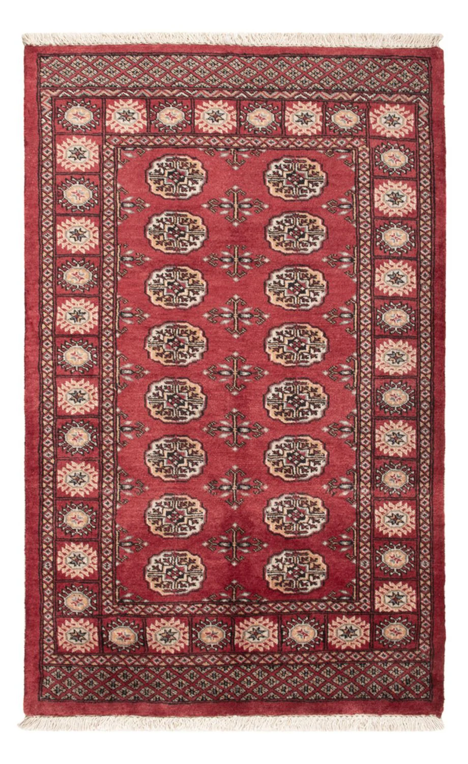 Pakistan Teppich 147x96cm - Orientteppich