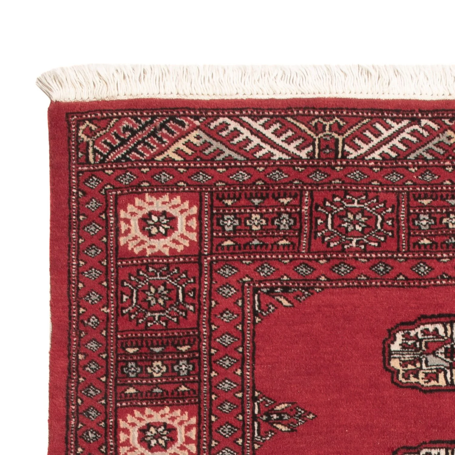 Pakistan Teppich 151x92cm - Orientteppich - Image 3