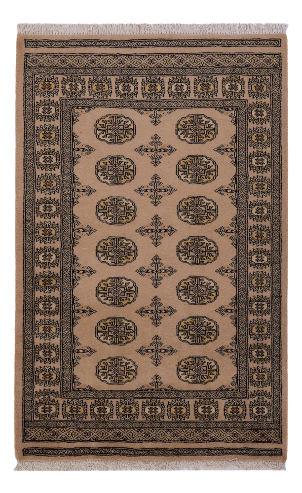 Pakistan Teppich 151x97cm - Orientteppich