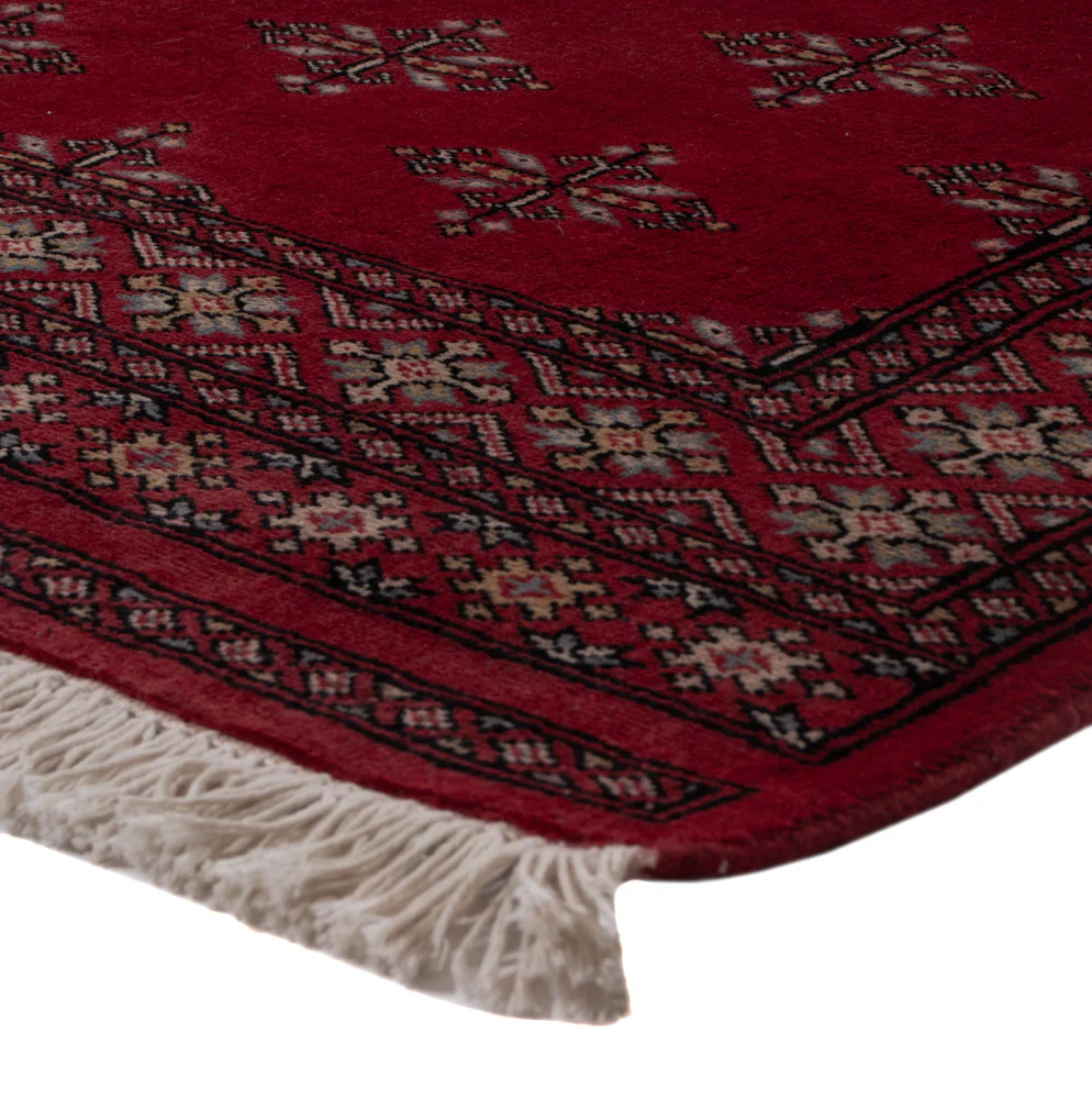 Pakistan Teppich 152x95cm - Orientteppich - Image 4