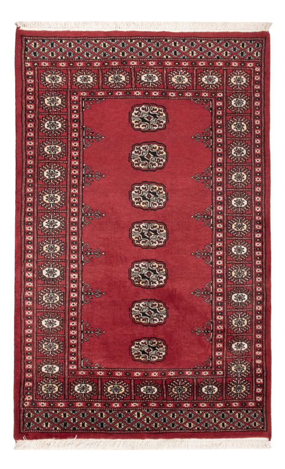 Pakistan Teppich 152x97cm - Orientteppich