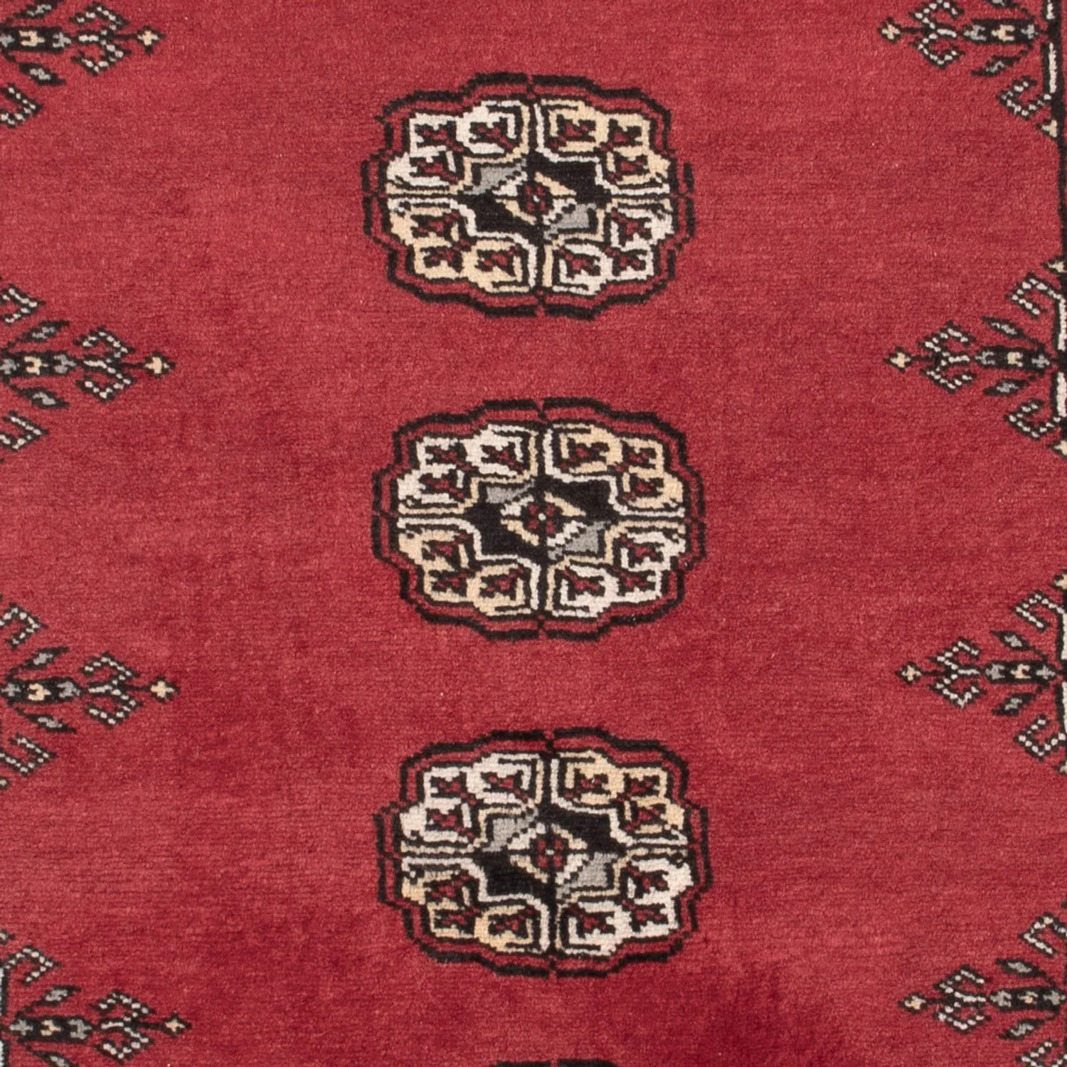 Pakistan Teppich 152x97cm - Orientteppich - Image 2