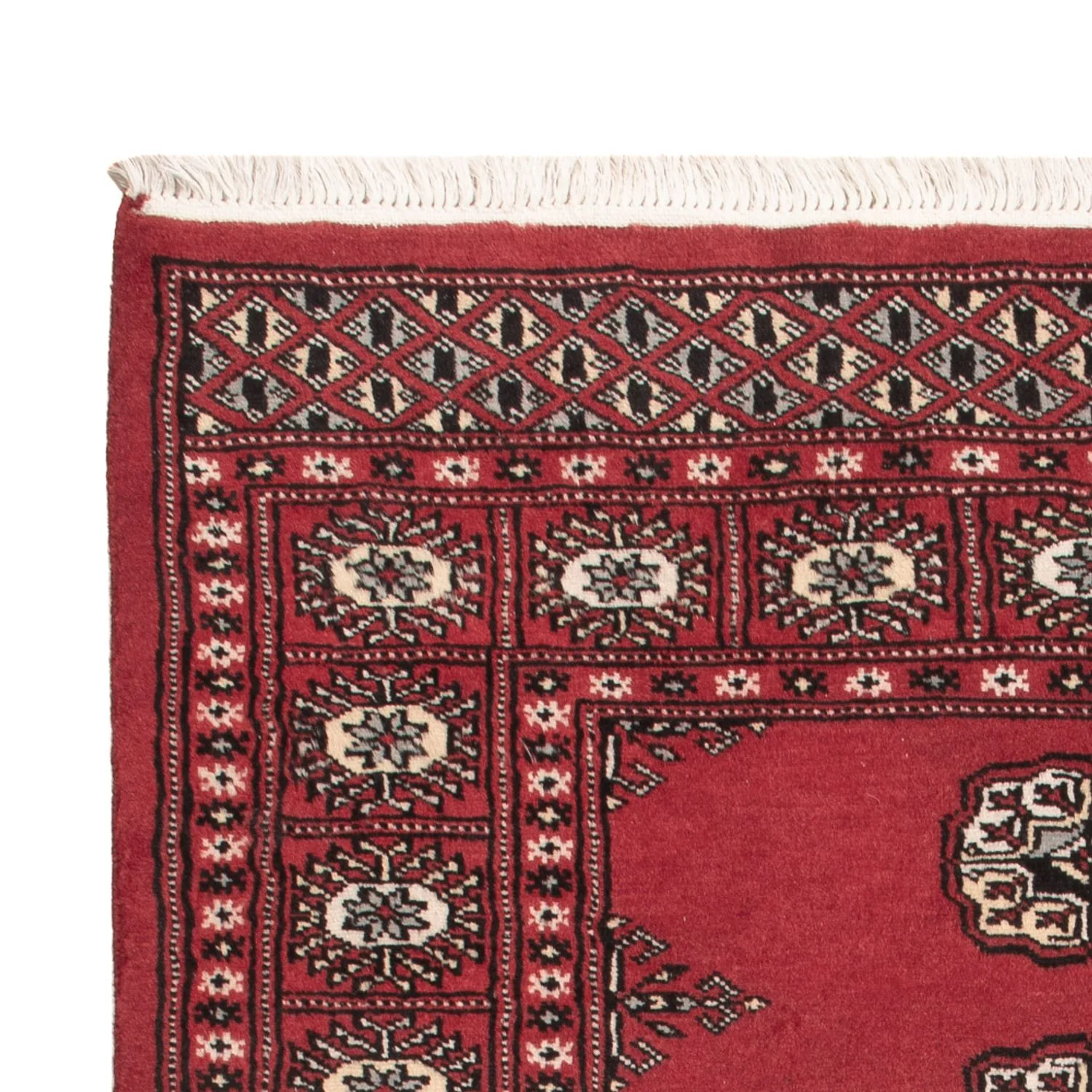 Pakistan Teppich 152x97cm - Orientteppich - Image 3