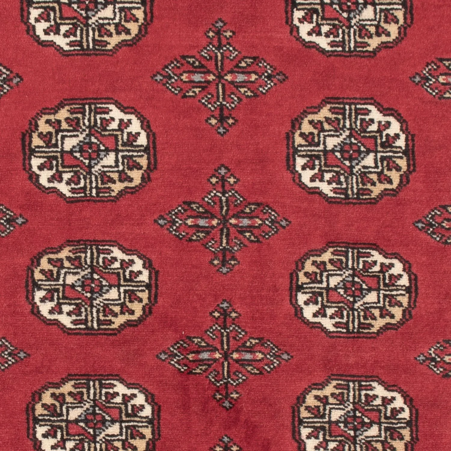 Pakistan Teppich 154x95cm - Orientteppich - Image 2