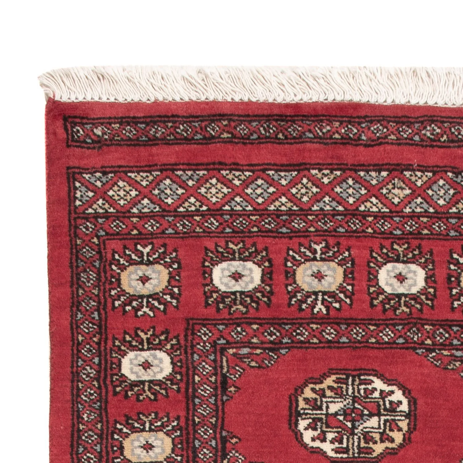 Pakistan Teppich 154x95cm - Orientteppich - Image 3