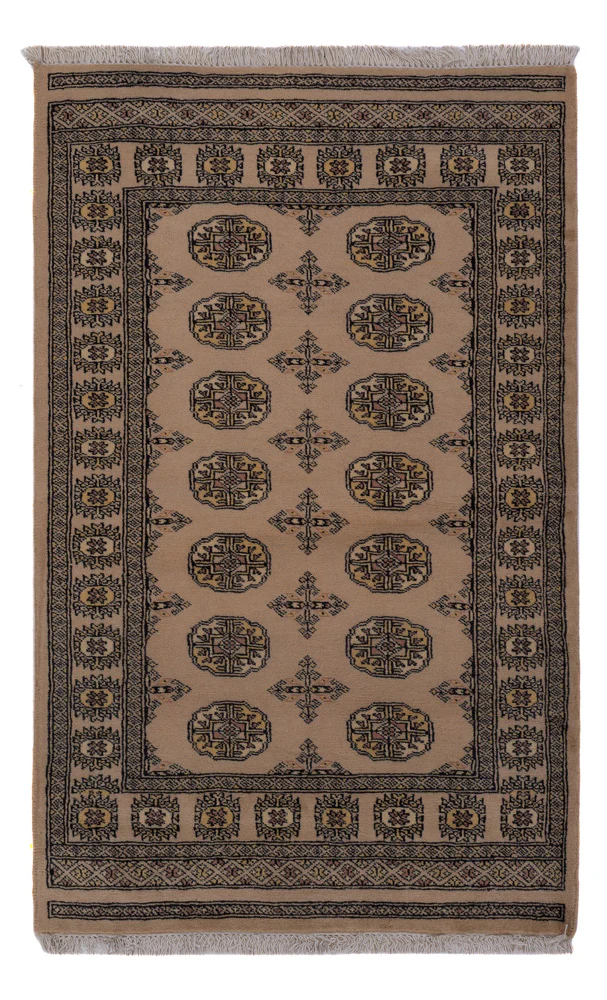 Pakistan Teppich 155x97cm - Orientteppich