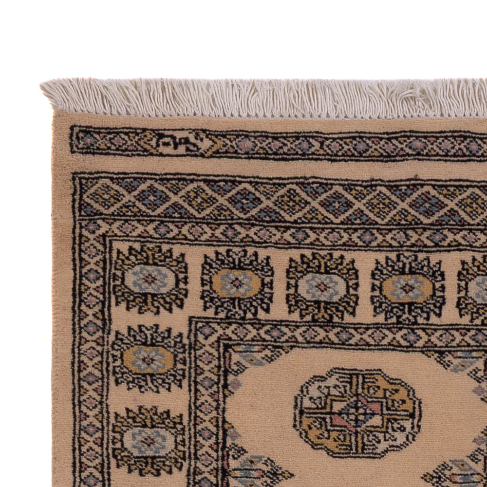 Pakistan Teppich 162x96cm - Orientteppich - Image 3