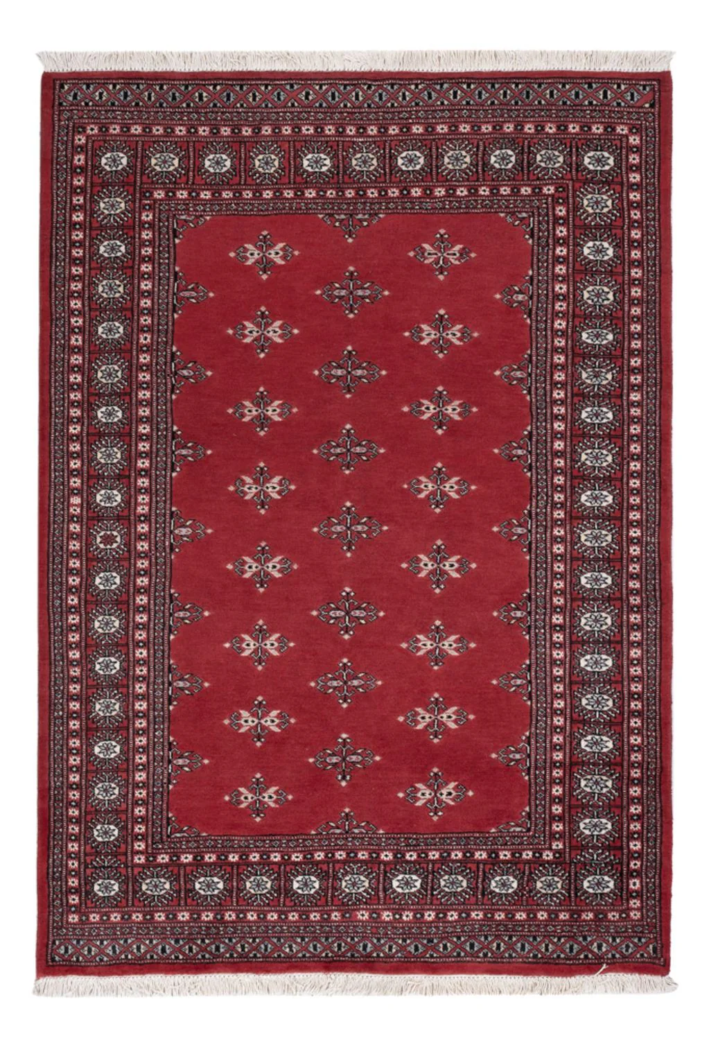 Pakistan Teppich 199x140cm - Orientteppich