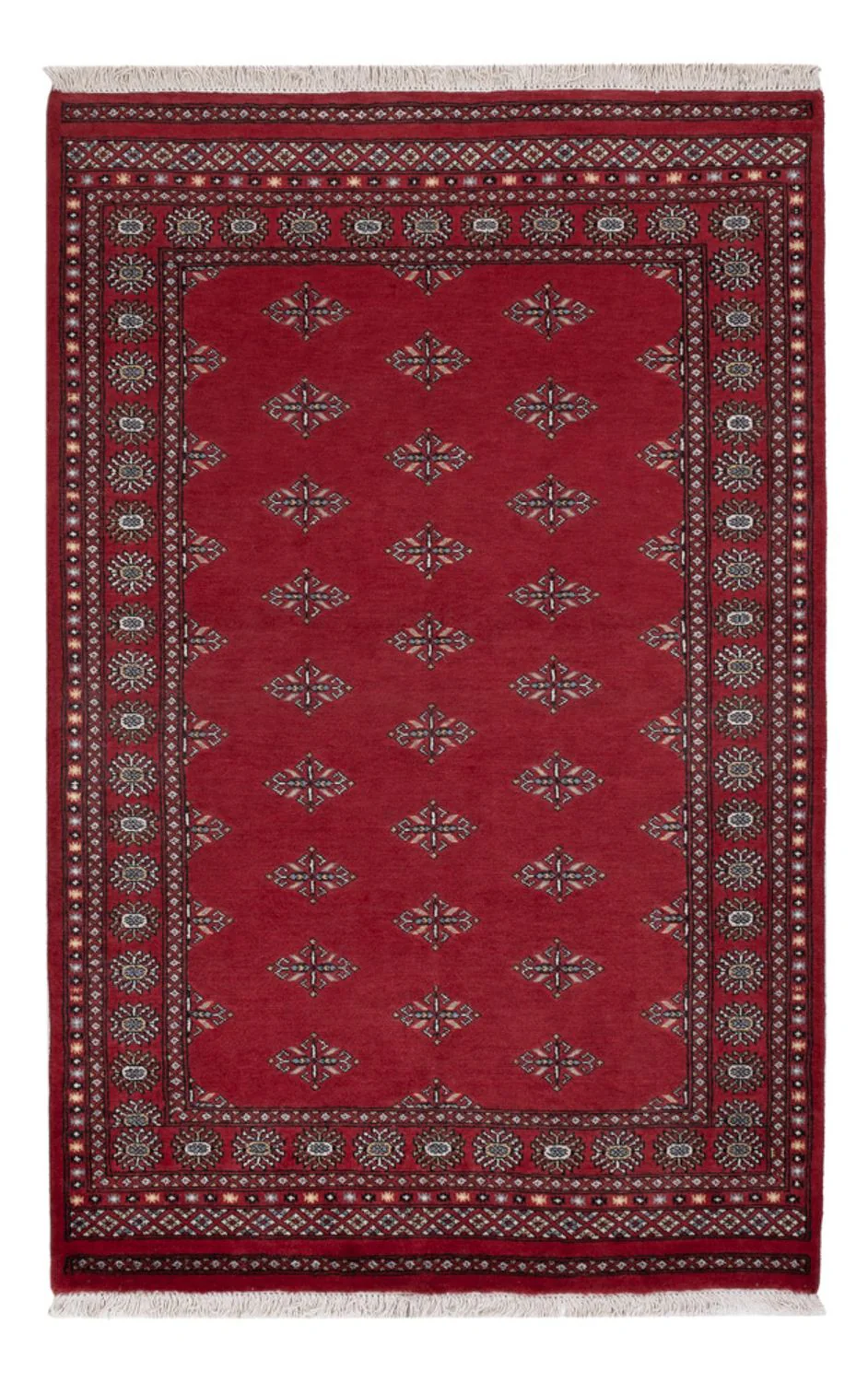 Pakistan Teppich 217x139cm - Orientteppich