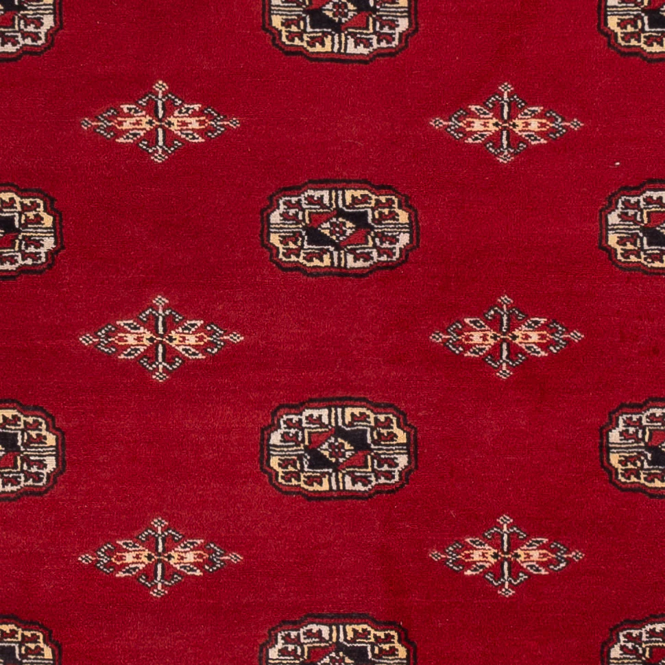 Pakistan Teppich - 236 x 171 cm - rot - Image 2