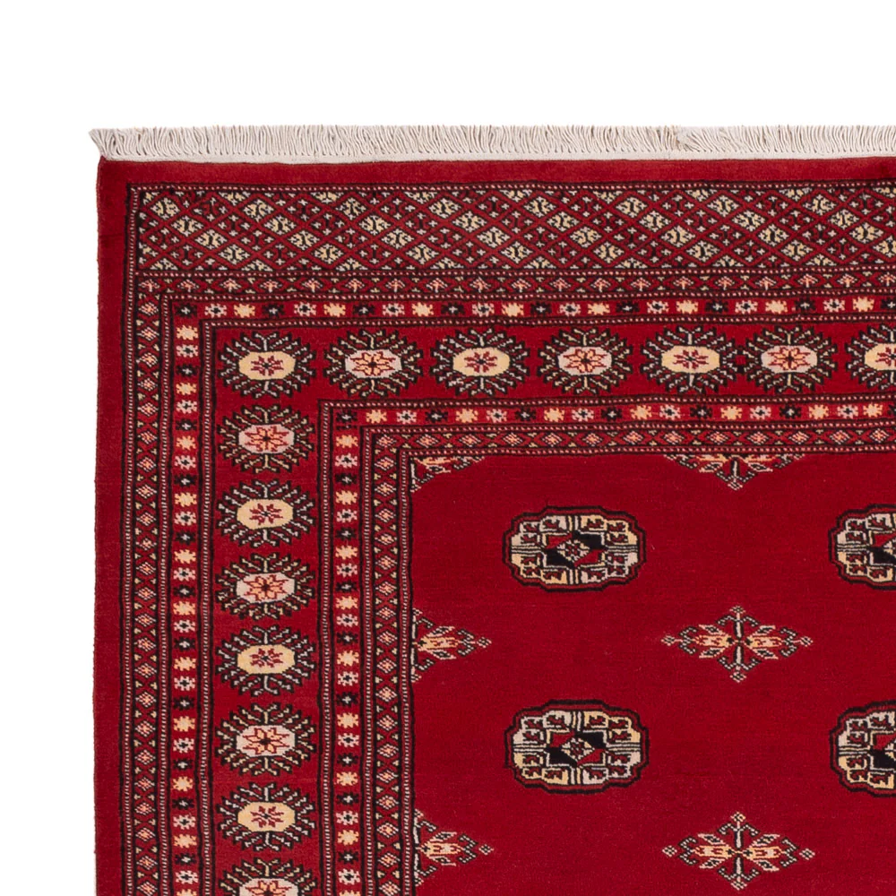 Pakistan Teppich - 236 x 171 cm - rot - Image 3