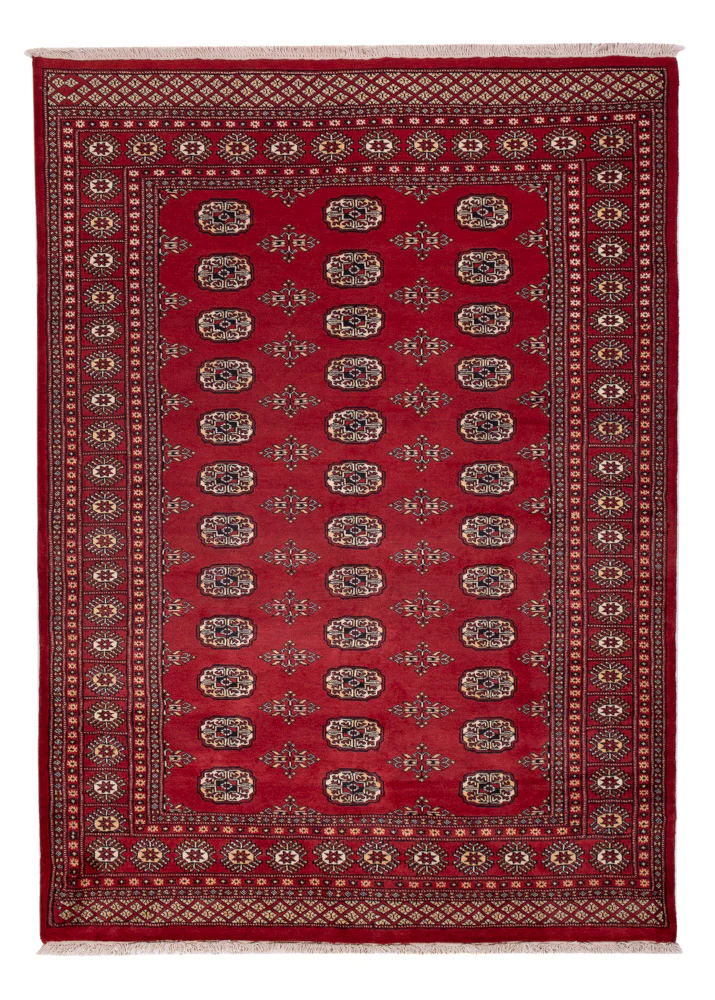 Pakistan Teppich 240x171cm - Orientteppich