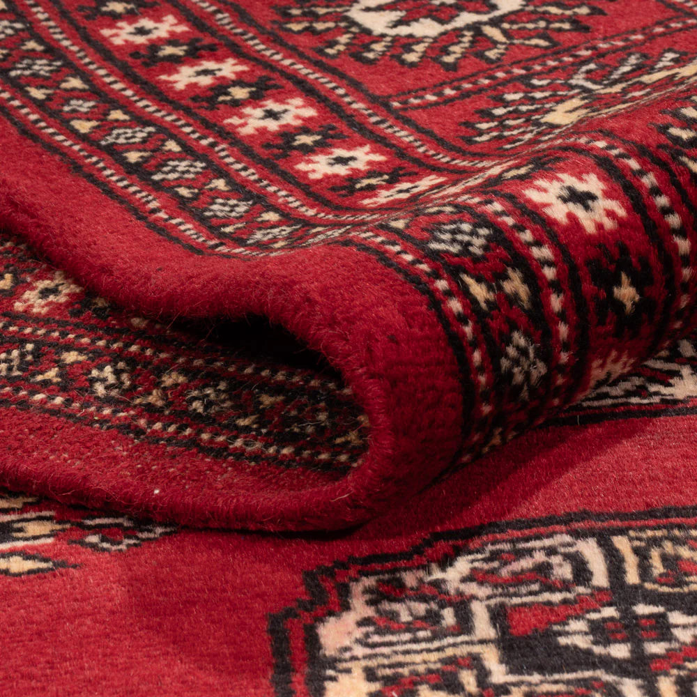 Pakistan Teppich 240x171cm - Orientteppich - Image 4